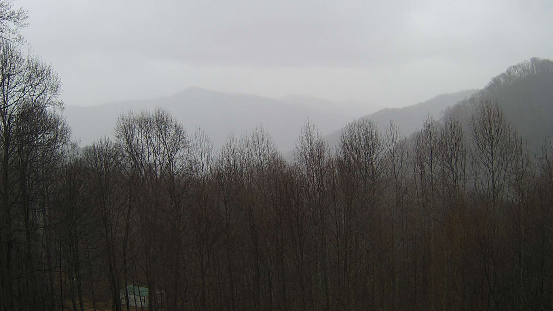 click for next image... slideshow image