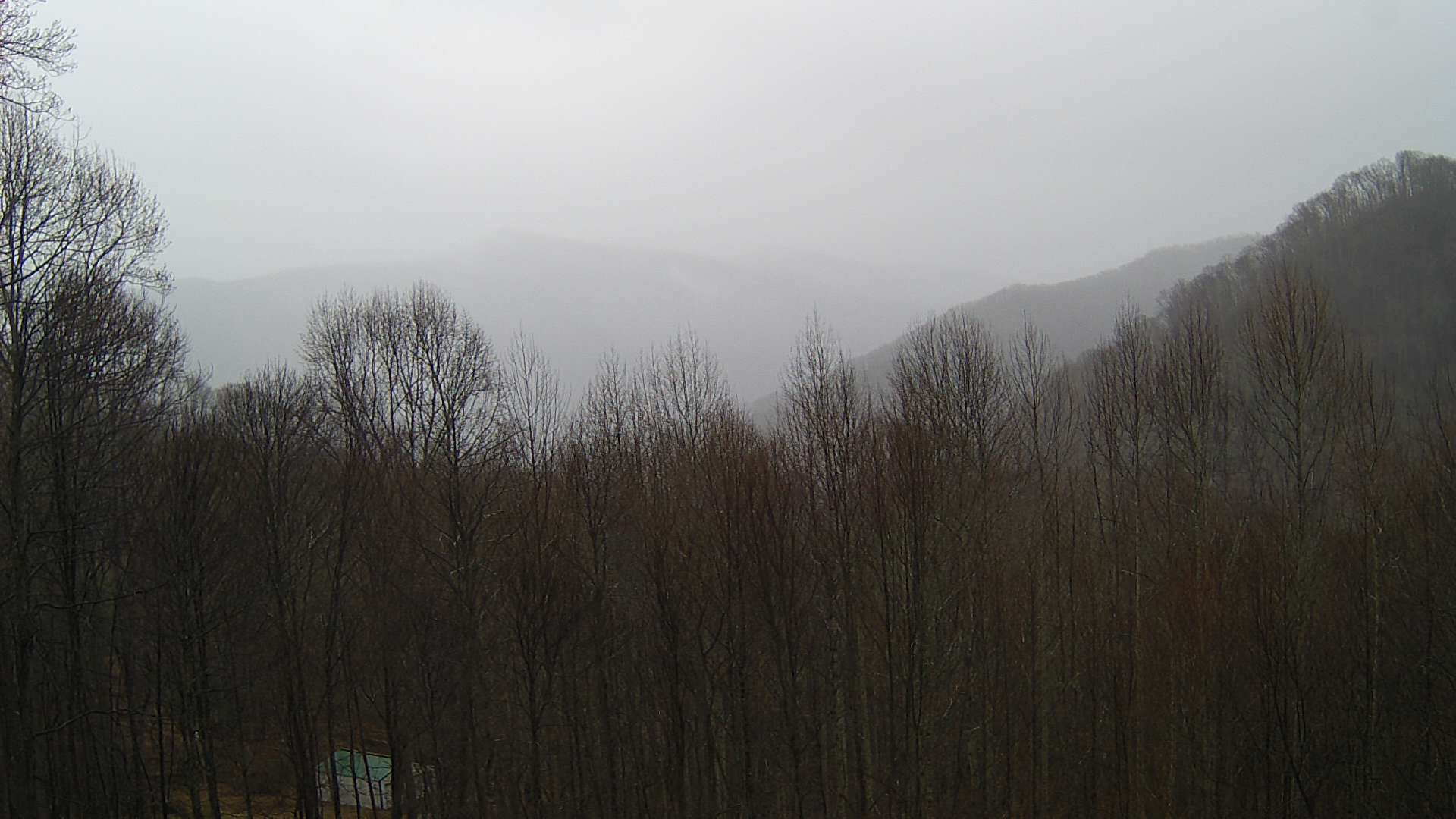 click for next image... slideshow image