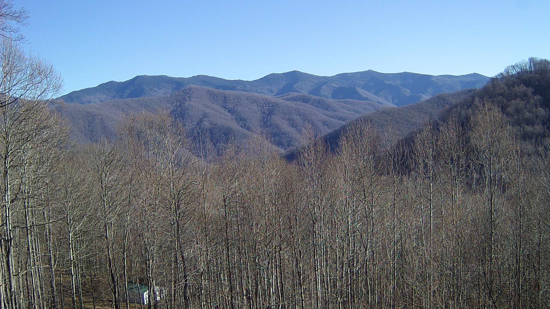 click for next image... slideshow image