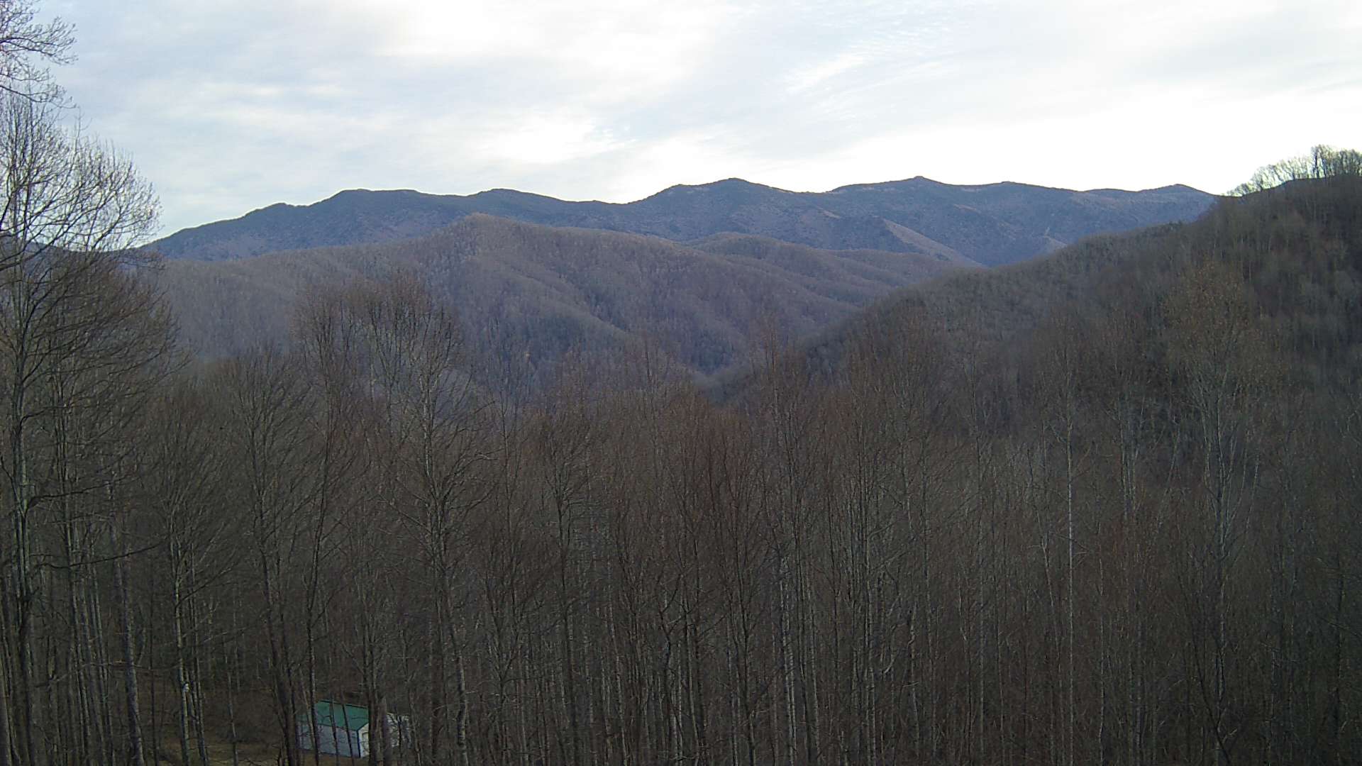 click for next image... slideshow image