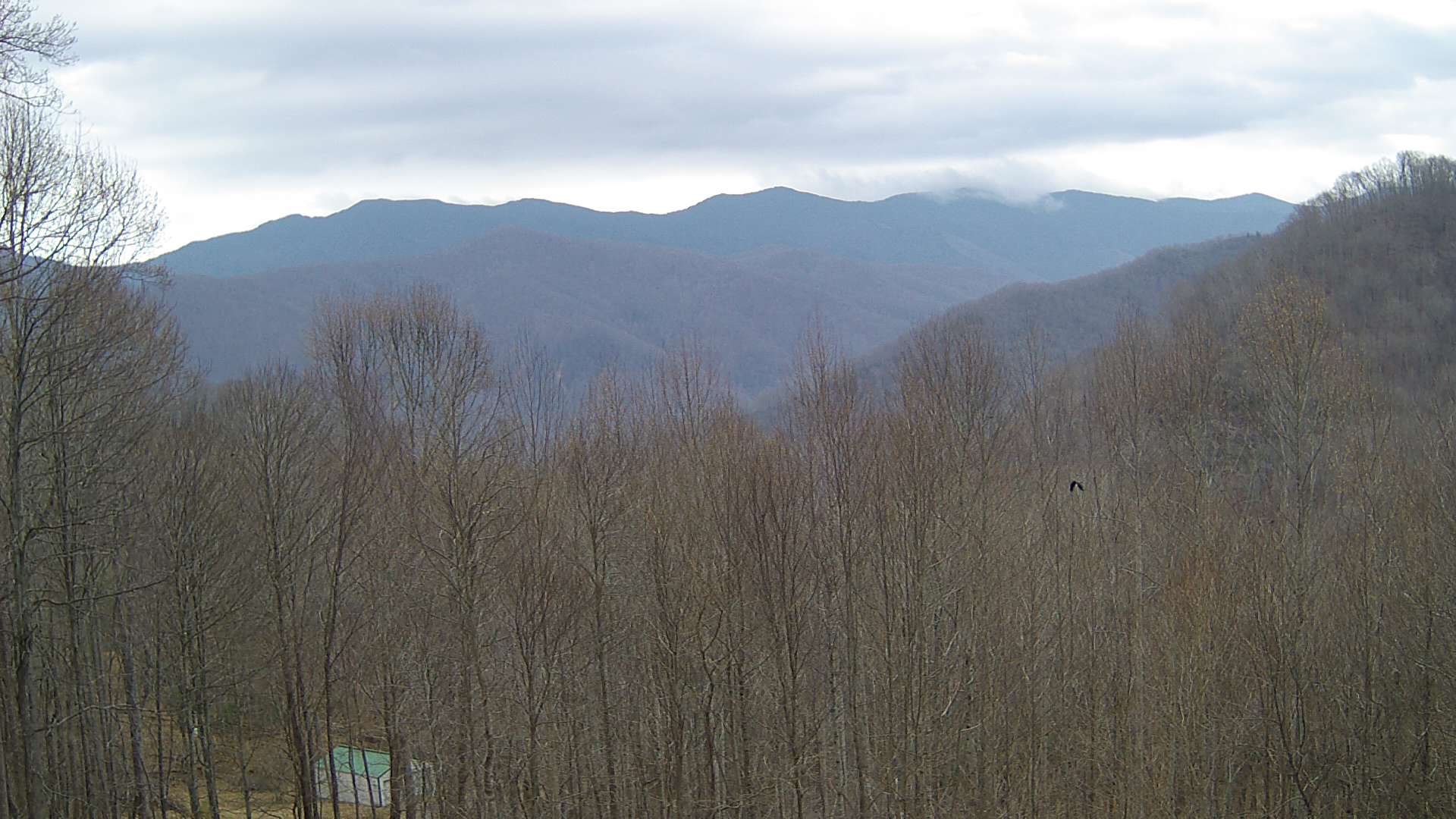 click for next image... slideshow image