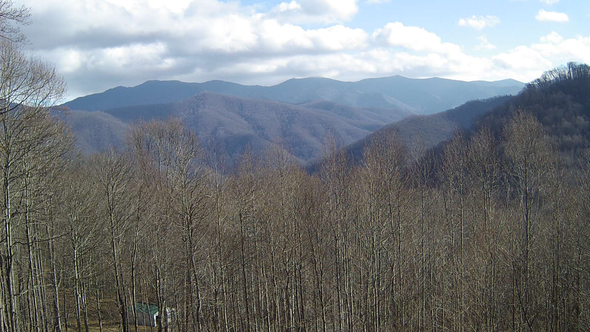 click for next image... slideshow image