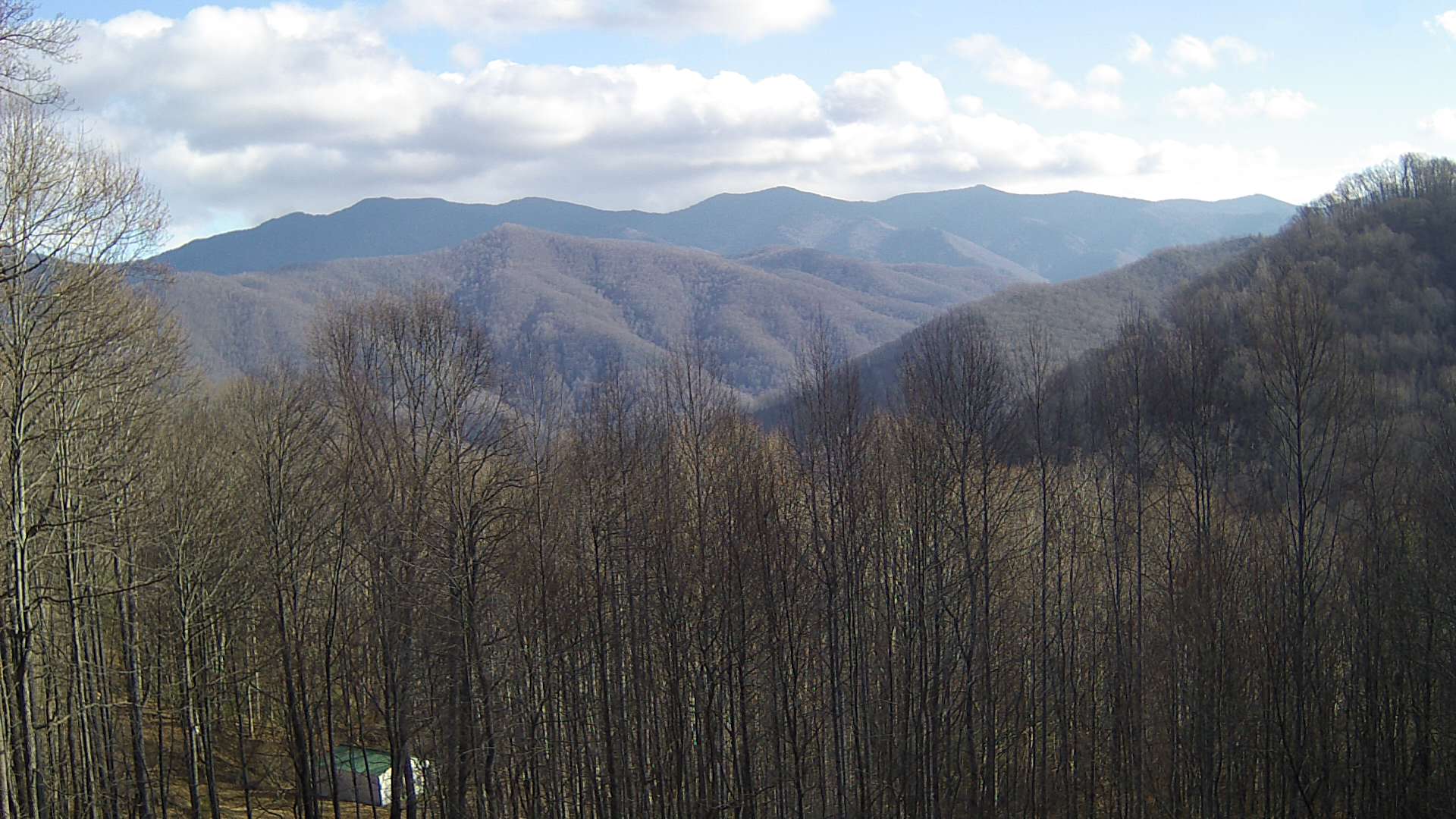 click for next image... slideshow image