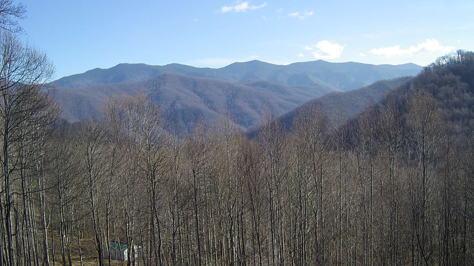 click for next image... slideshow image