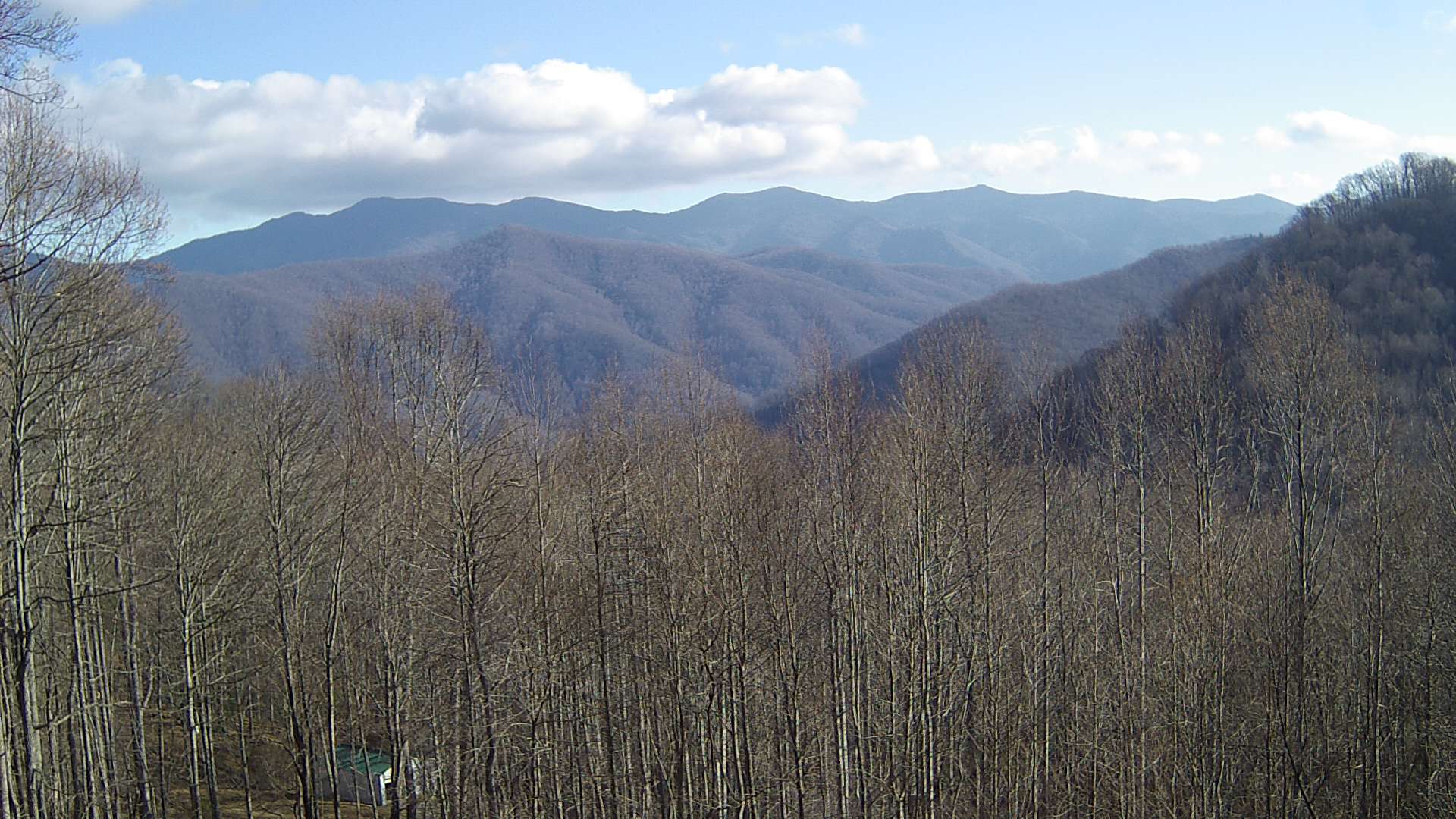 click for next image... slideshow image