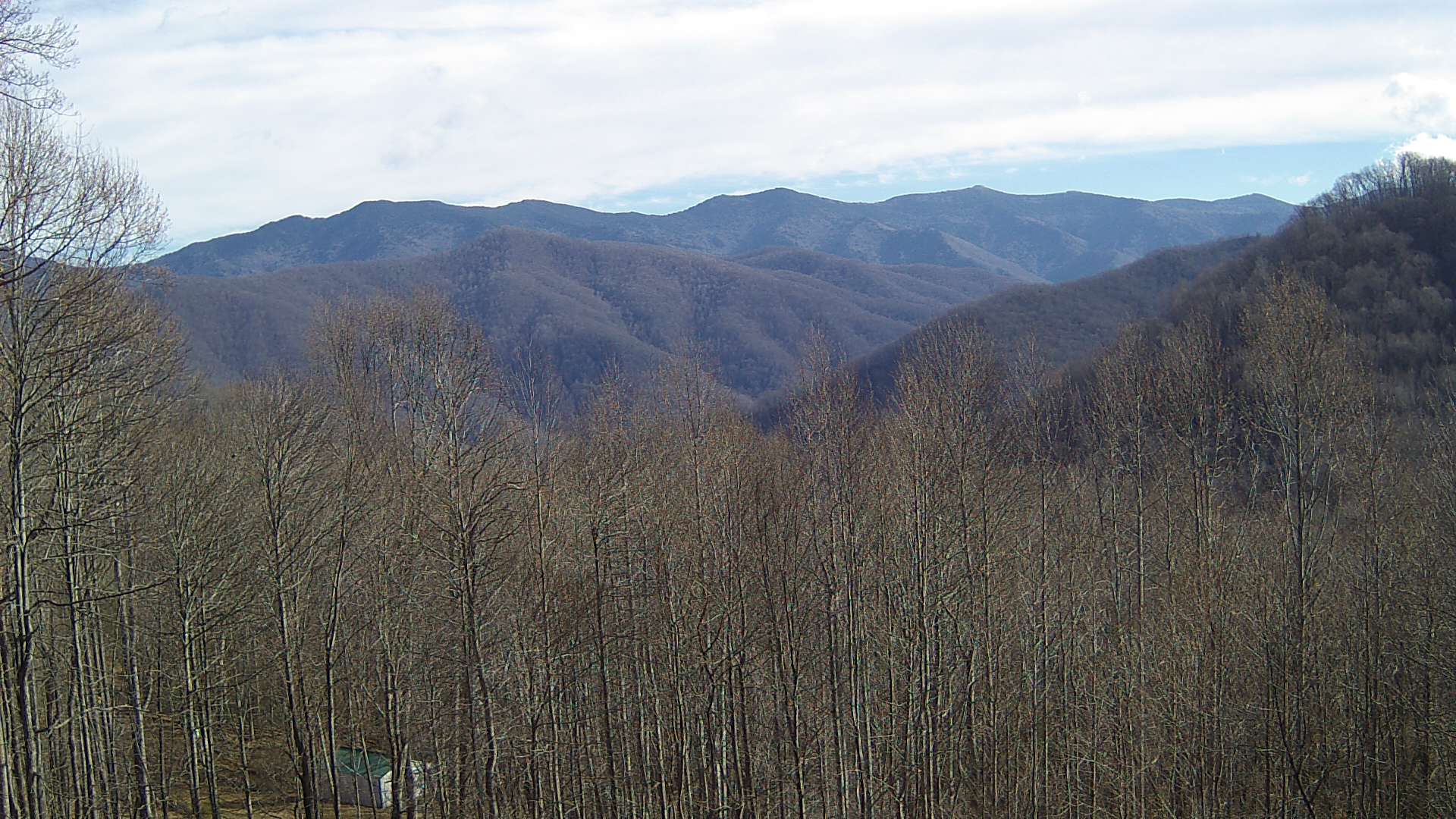 click for next image... slideshow image