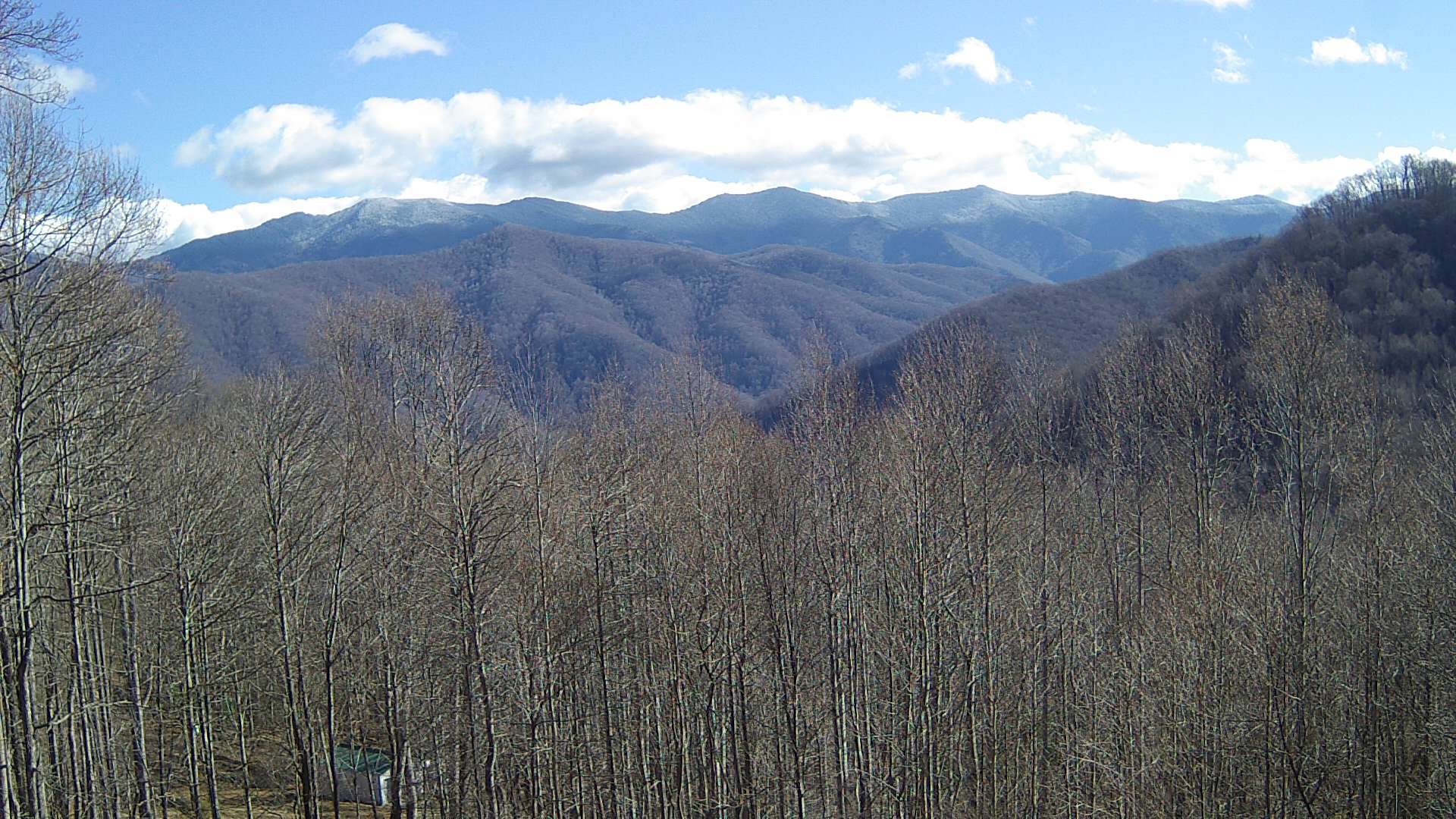 click for next image... slideshow image