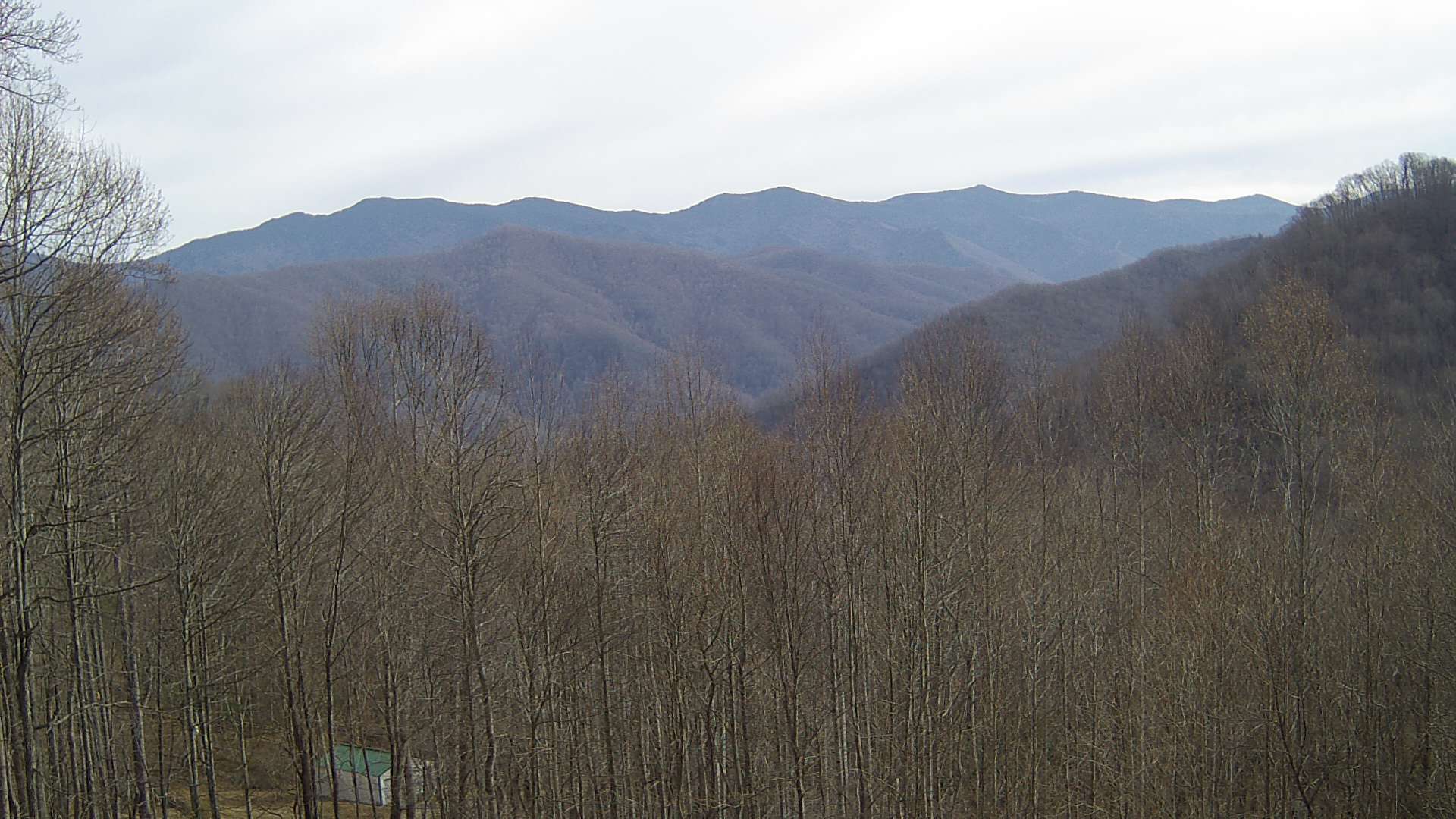 click for next image... slideshow image