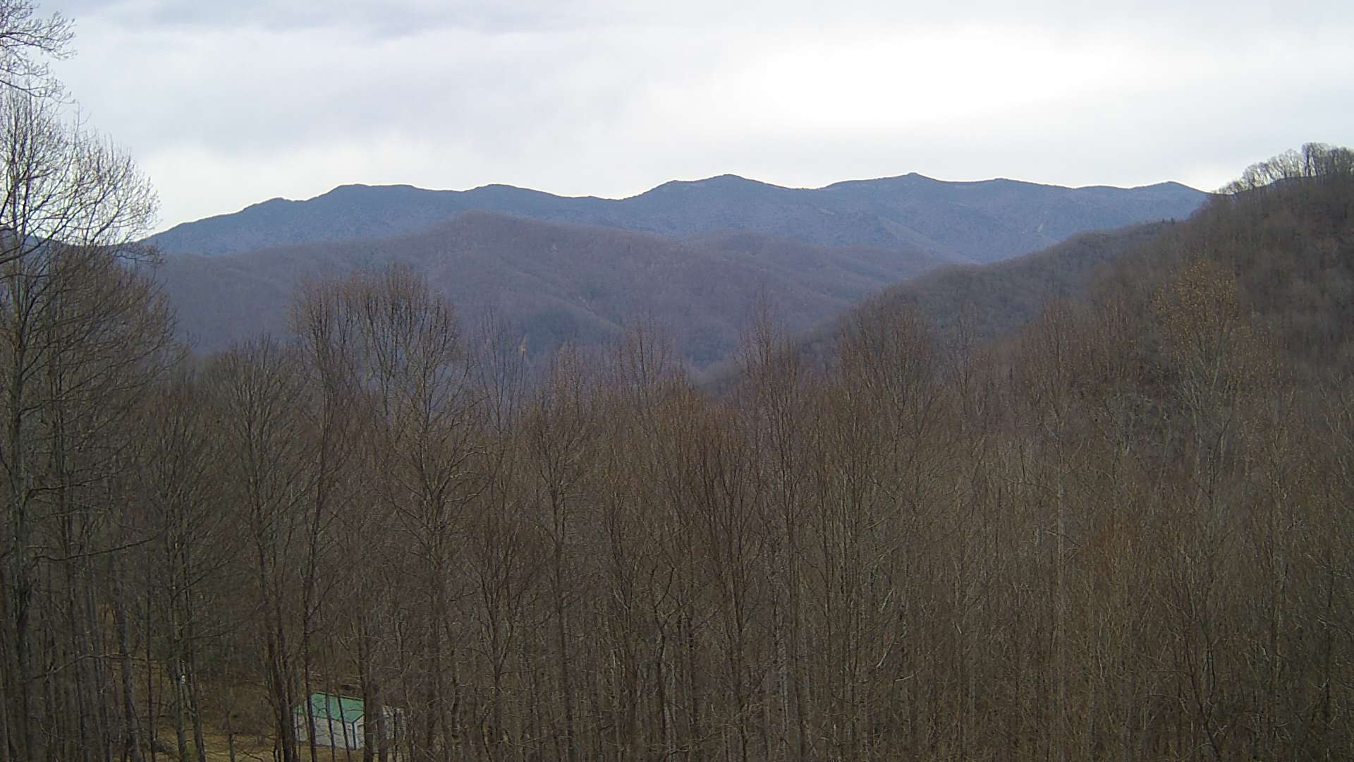 click for next image... slideshow image