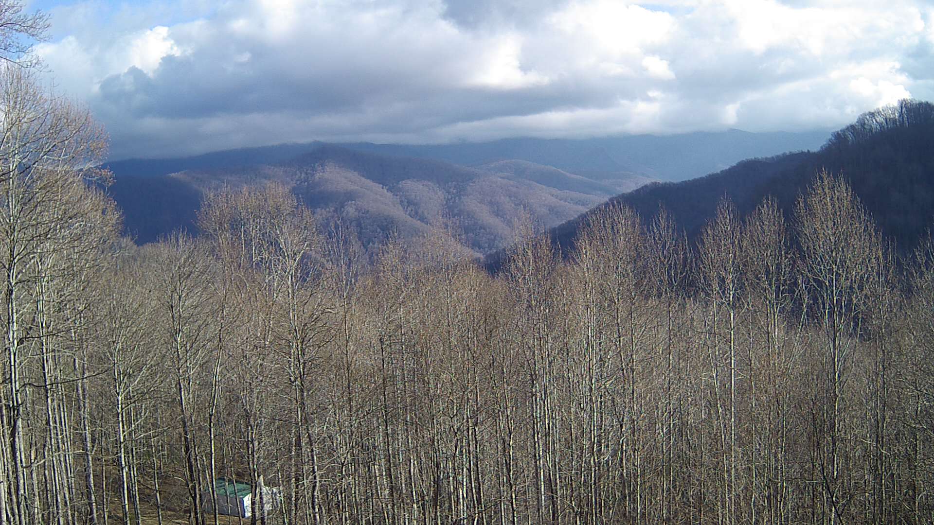 click for next image... slideshow image