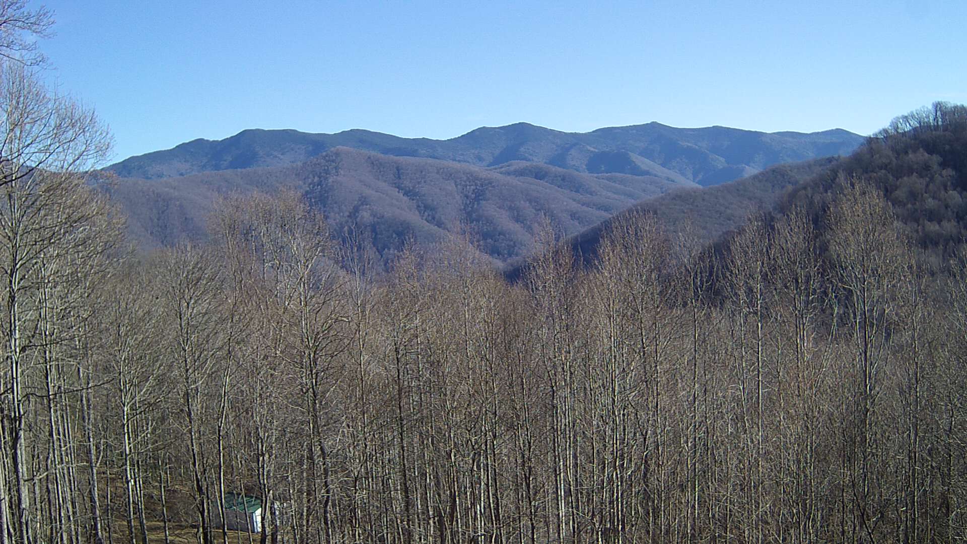 click for next image... slideshow image