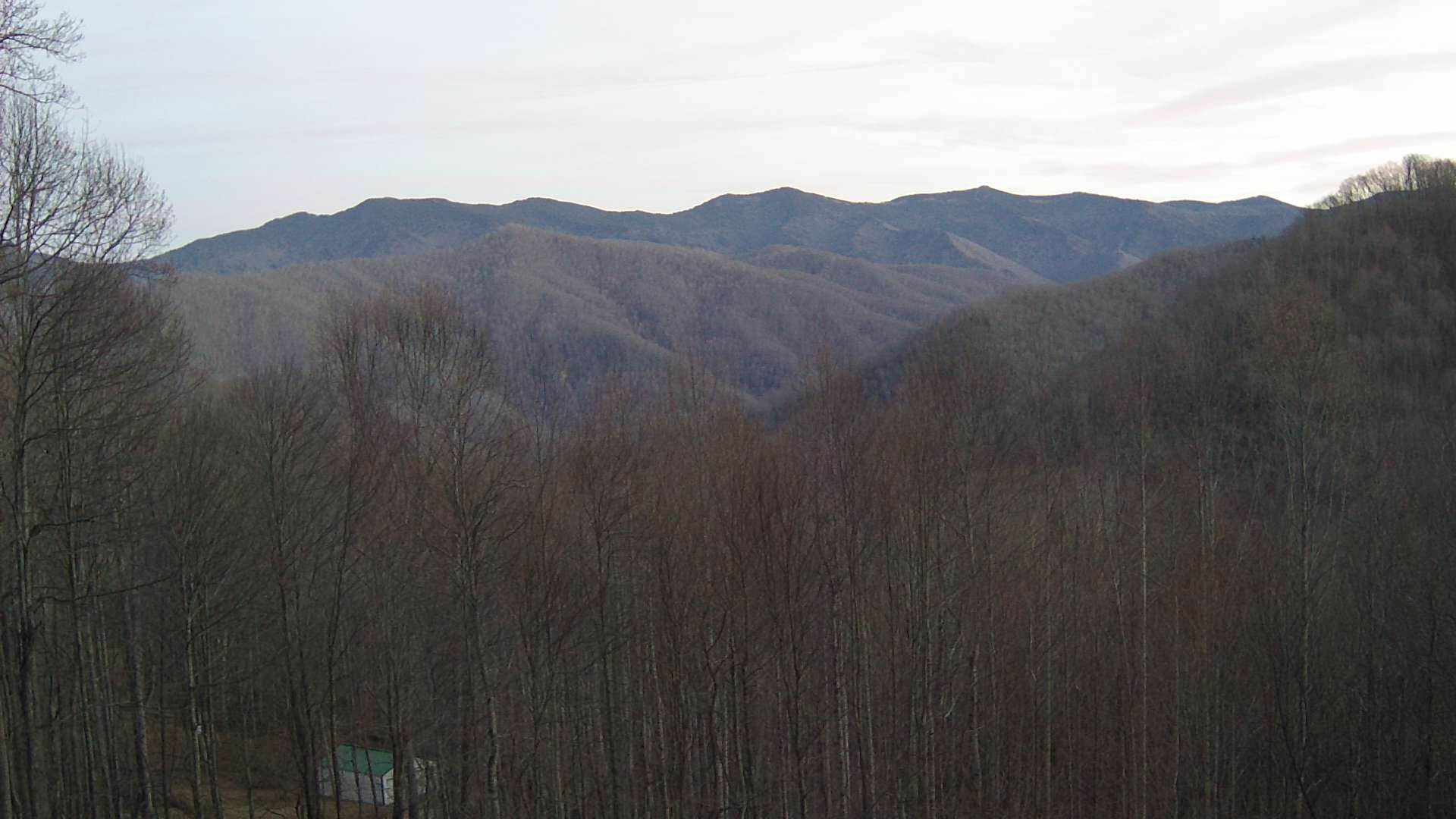 click for next image... slideshow image