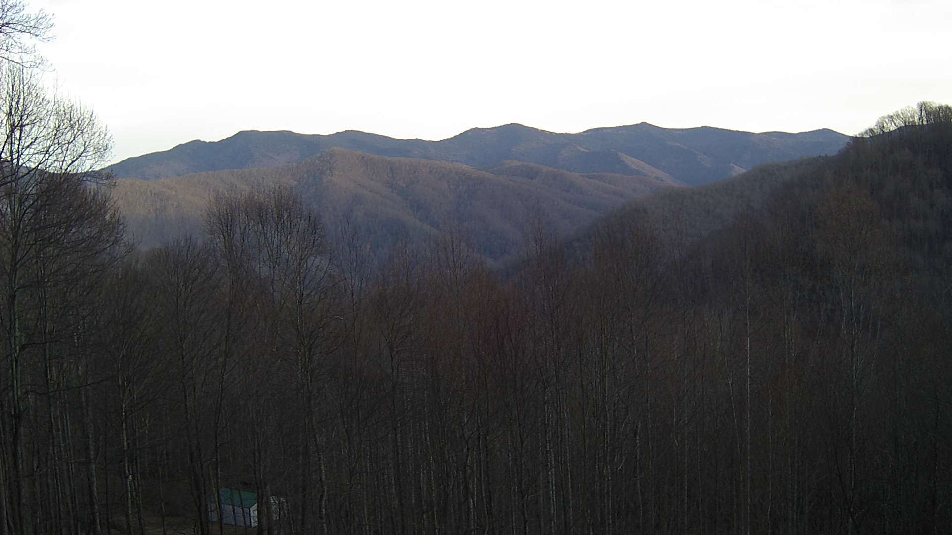 click for next image... slideshow image