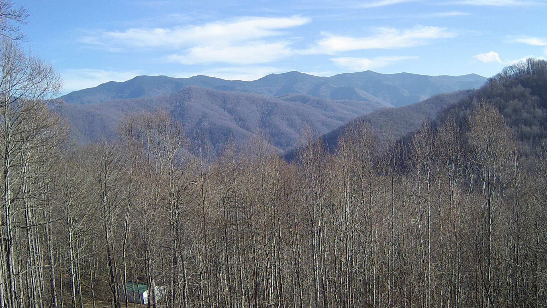 click for next image... slideshow image