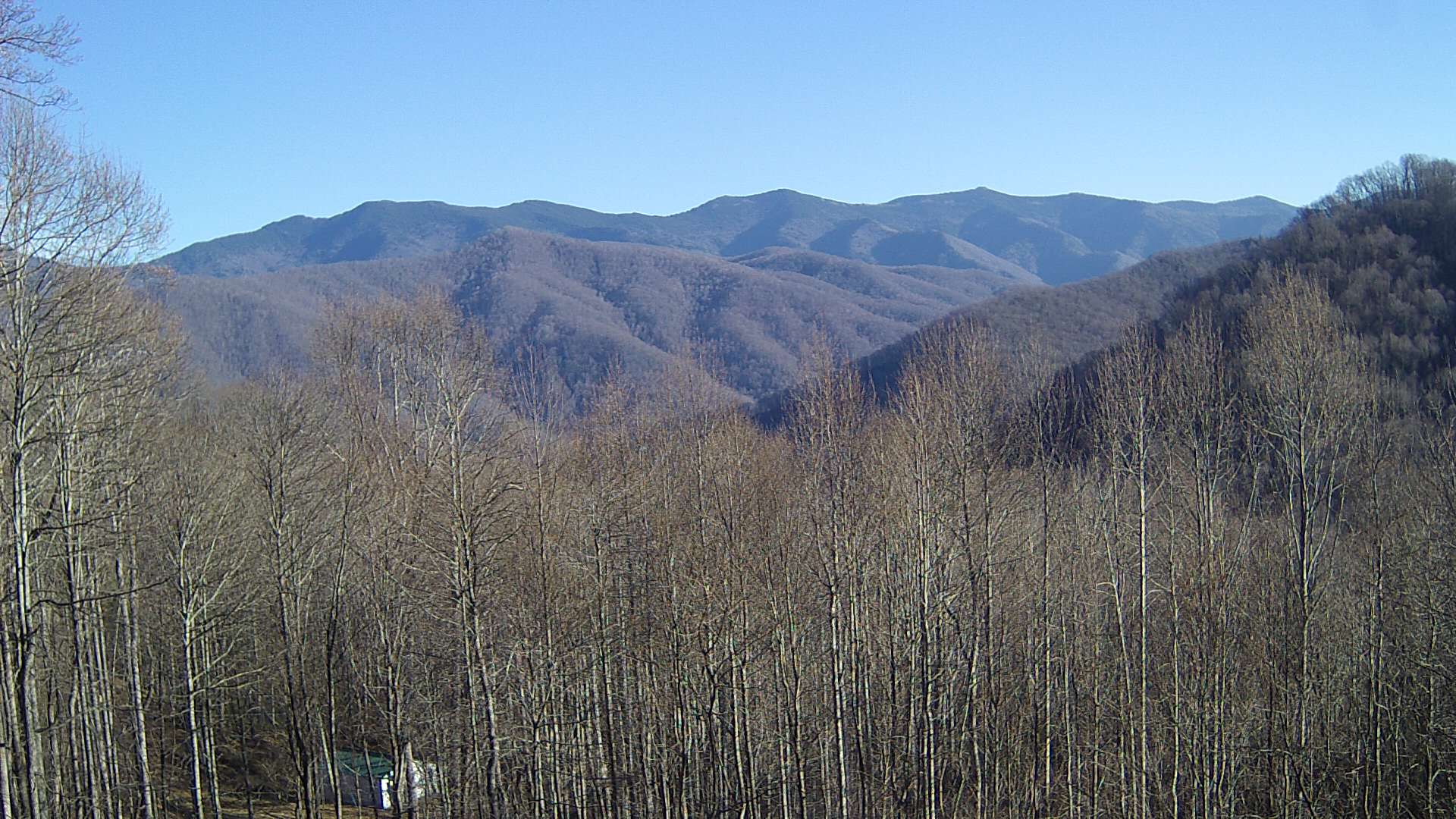 click for next image... slideshow image