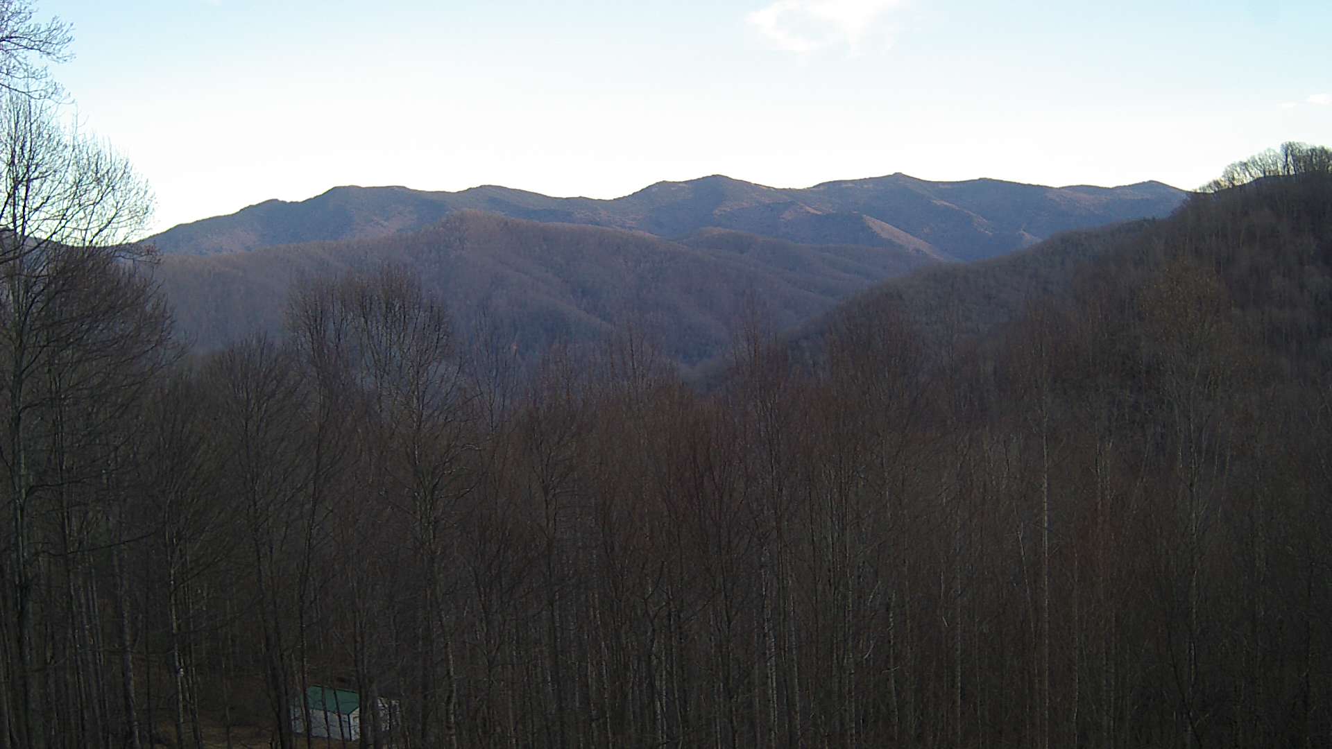 click for next image... slideshow image