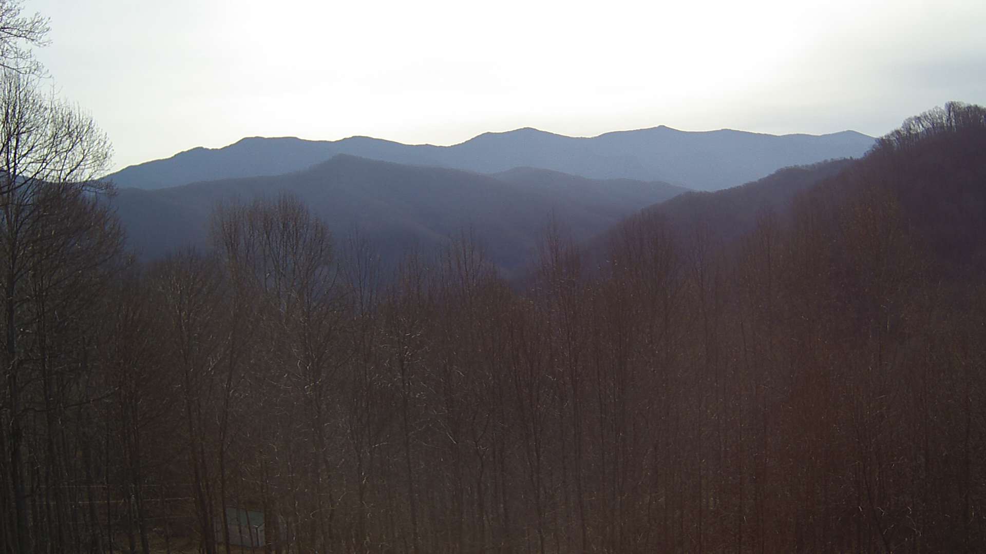 click for next image... slideshow image