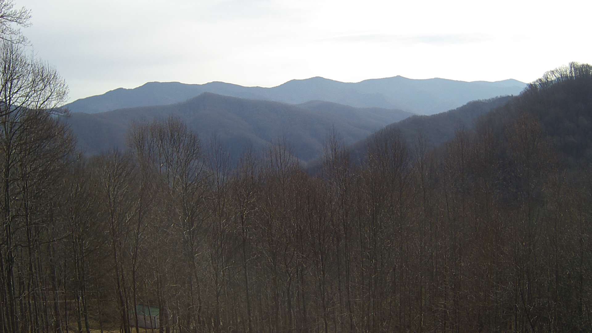 click for next image... slideshow image