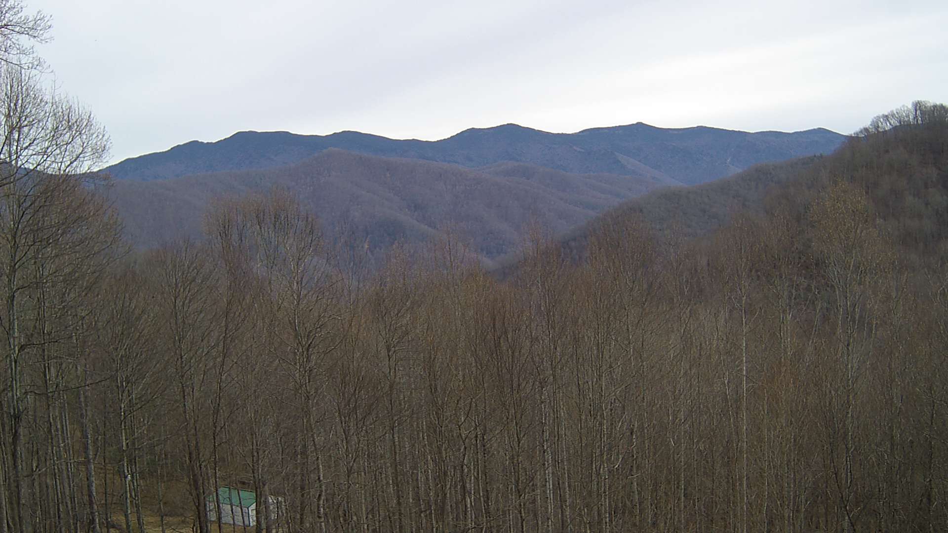 click for next image... slideshow image