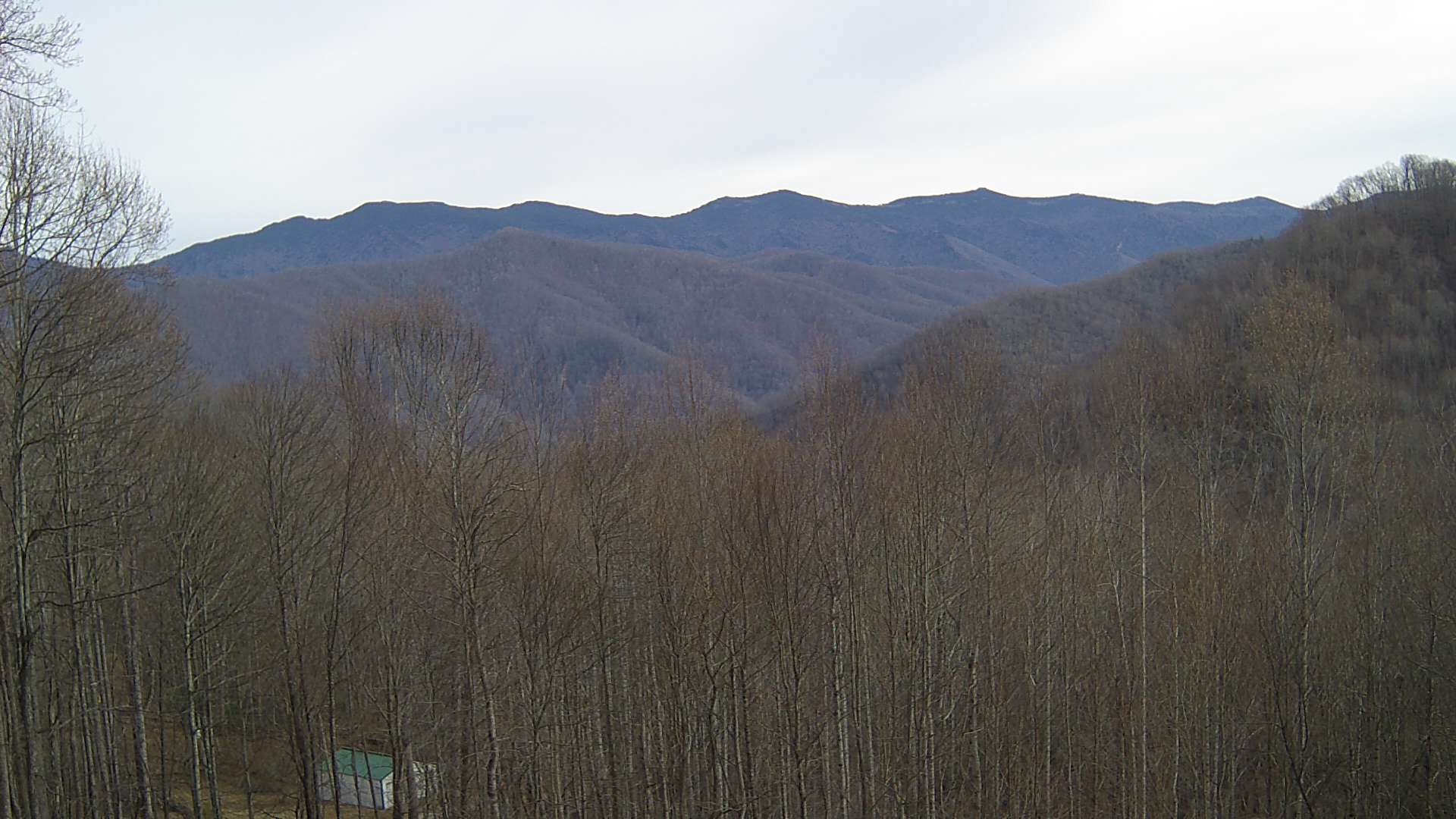 click for next image... slideshow image