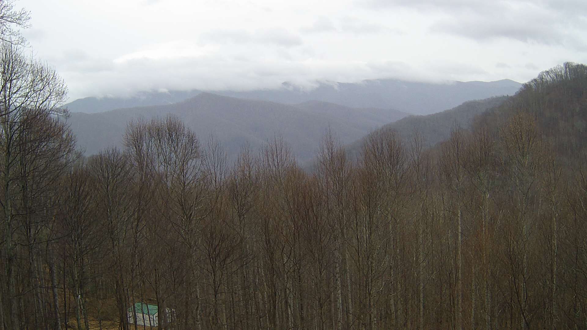 click for next image... slideshow image