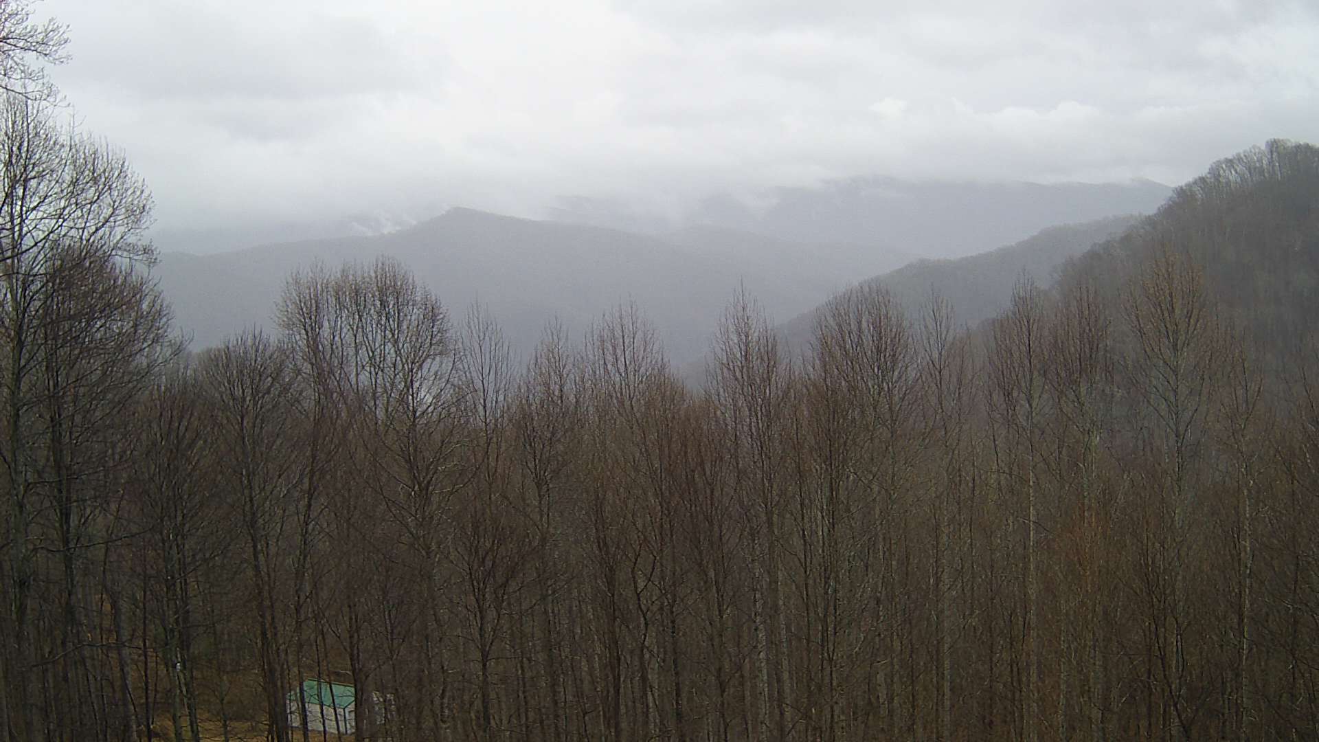 click for next image... slideshow image