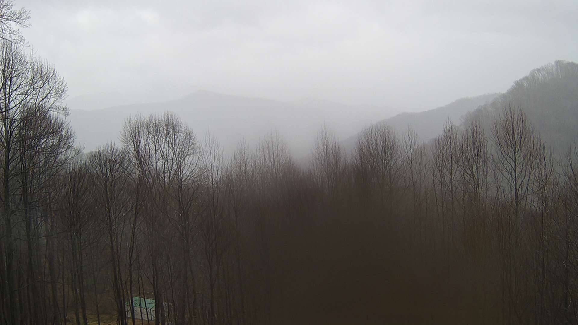 click for next image... slideshow image