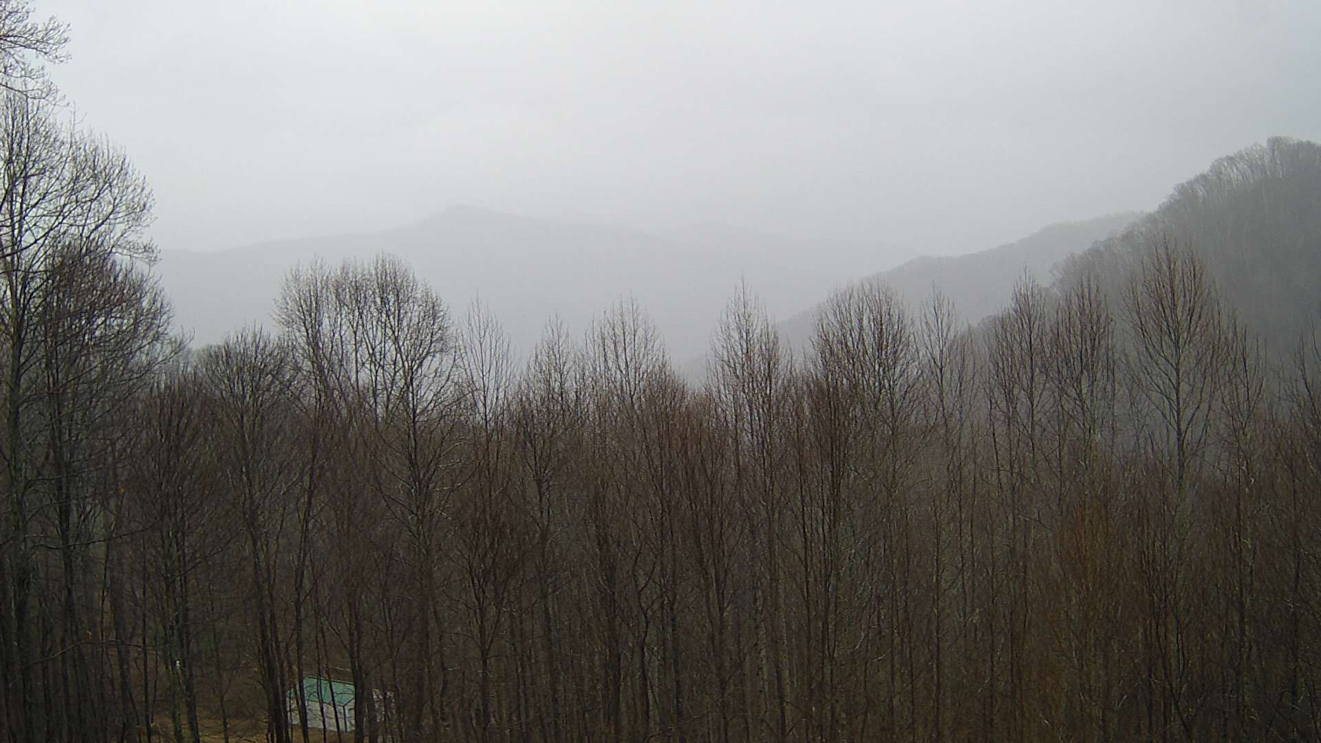 click for next image... slideshow image