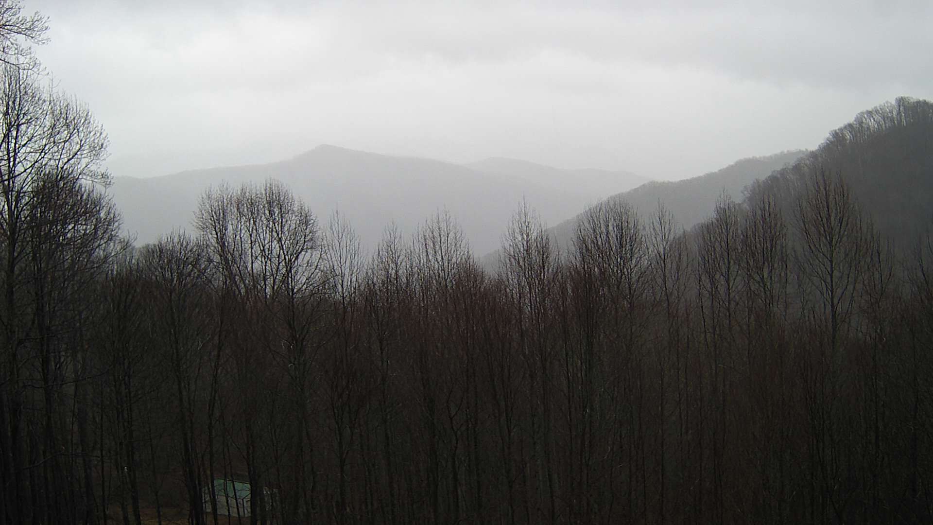 click for next image... slideshow image