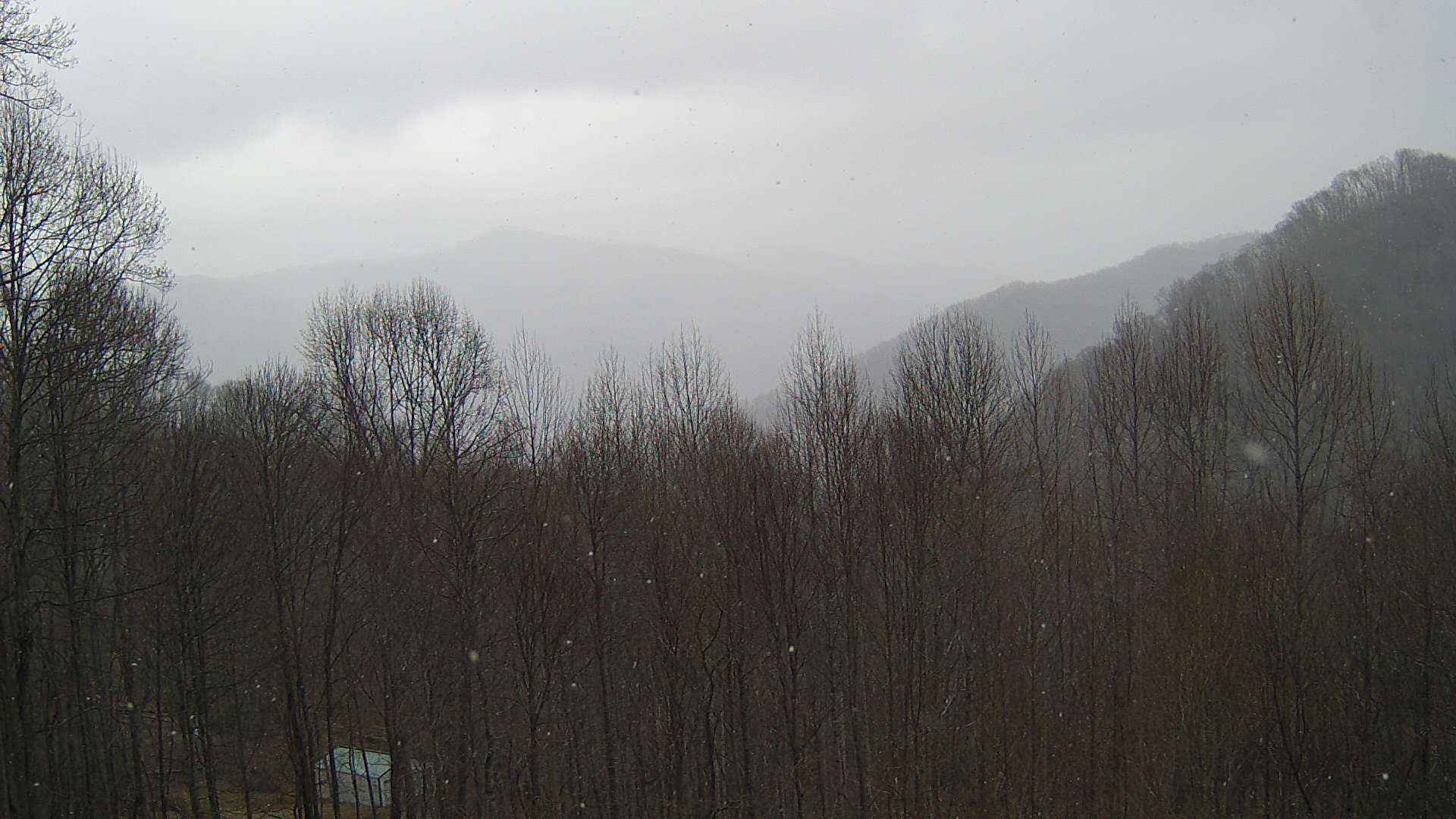 click for next image... slideshow image