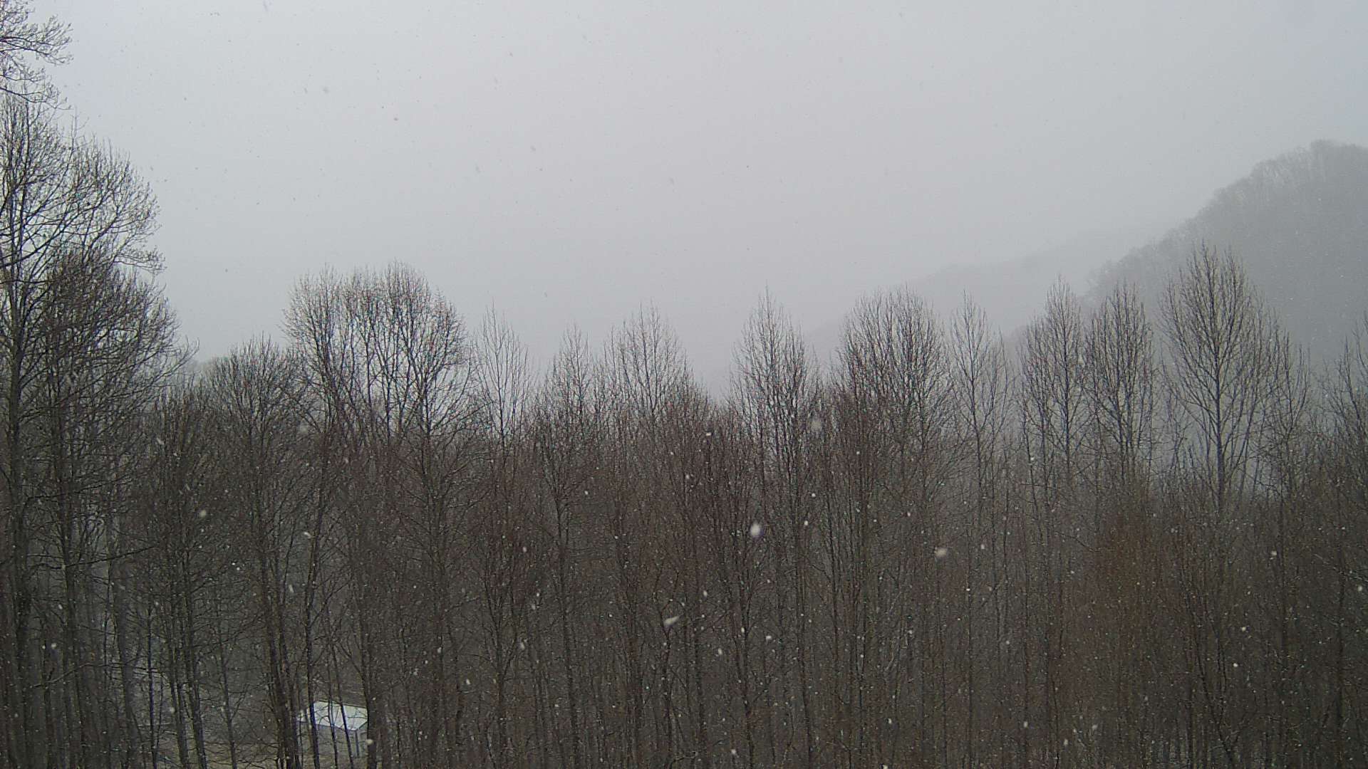 click for next image... slideshow image