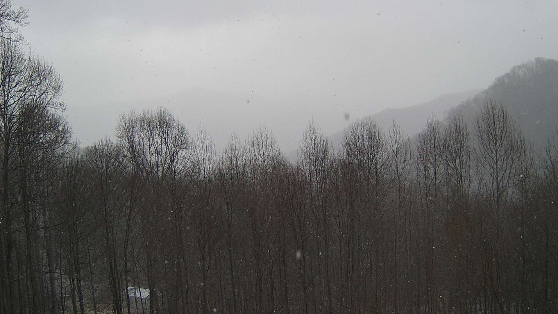 click for next image... slideshow image