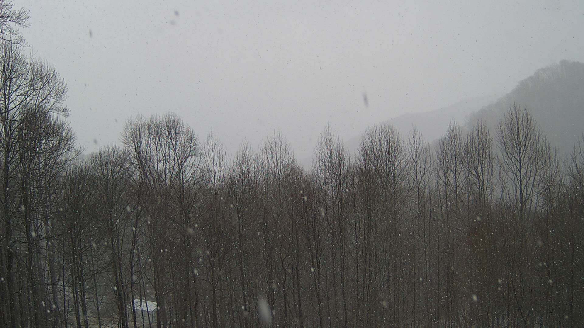 click for next image... slideshow image