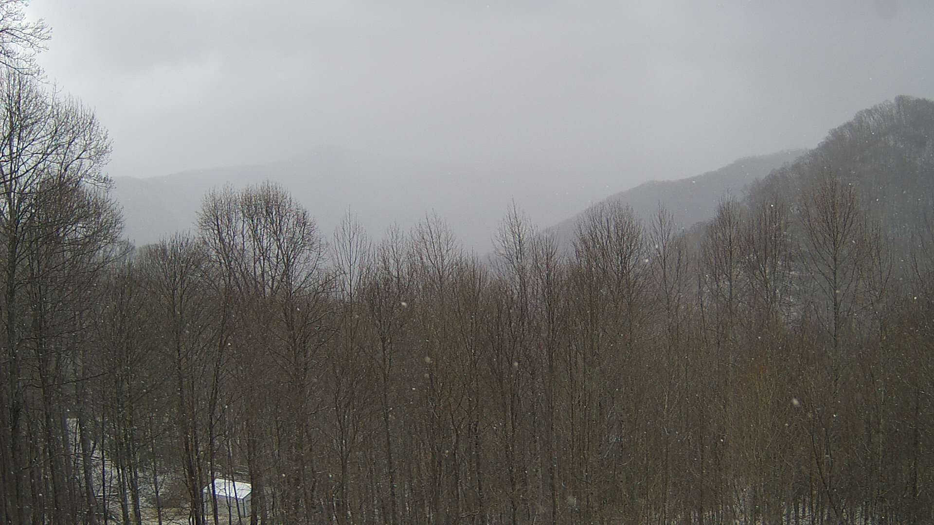 click for next image... slideshow image