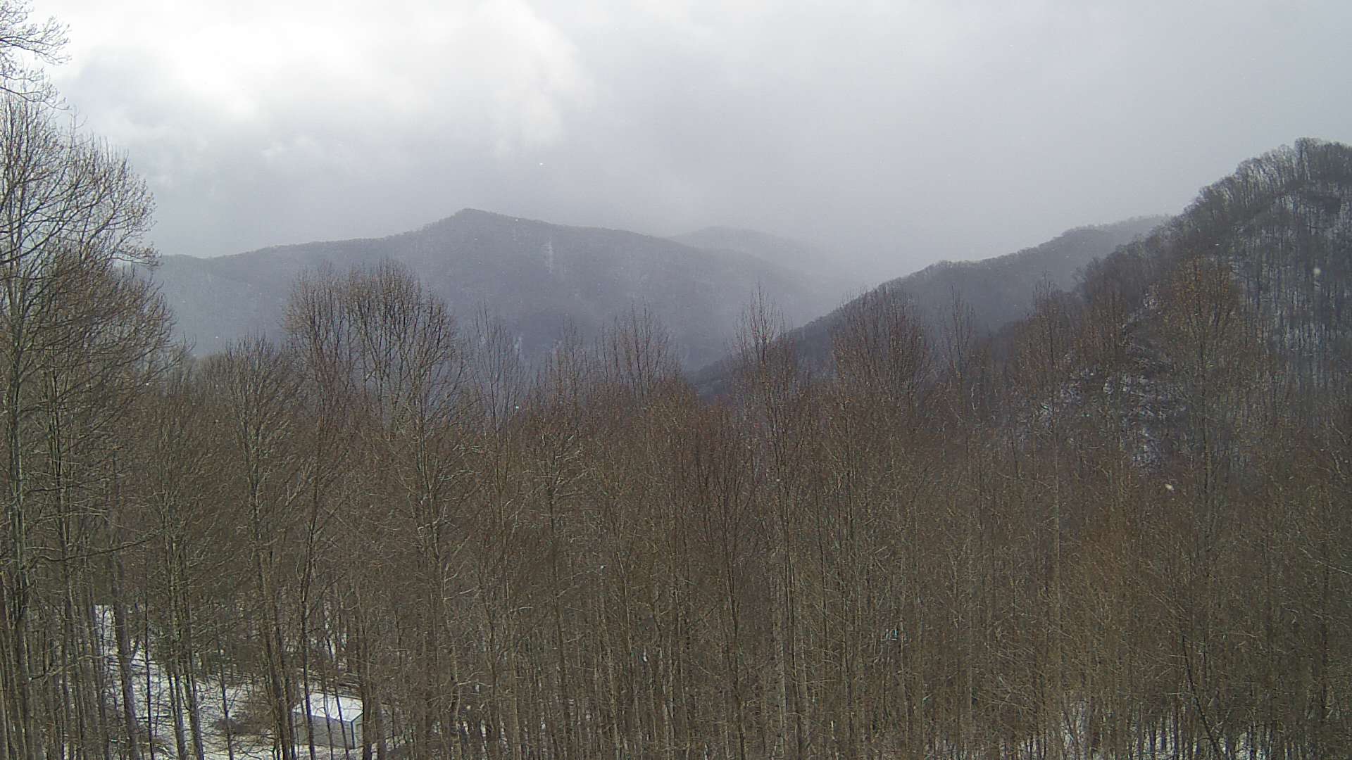 click for next image... slideshow image