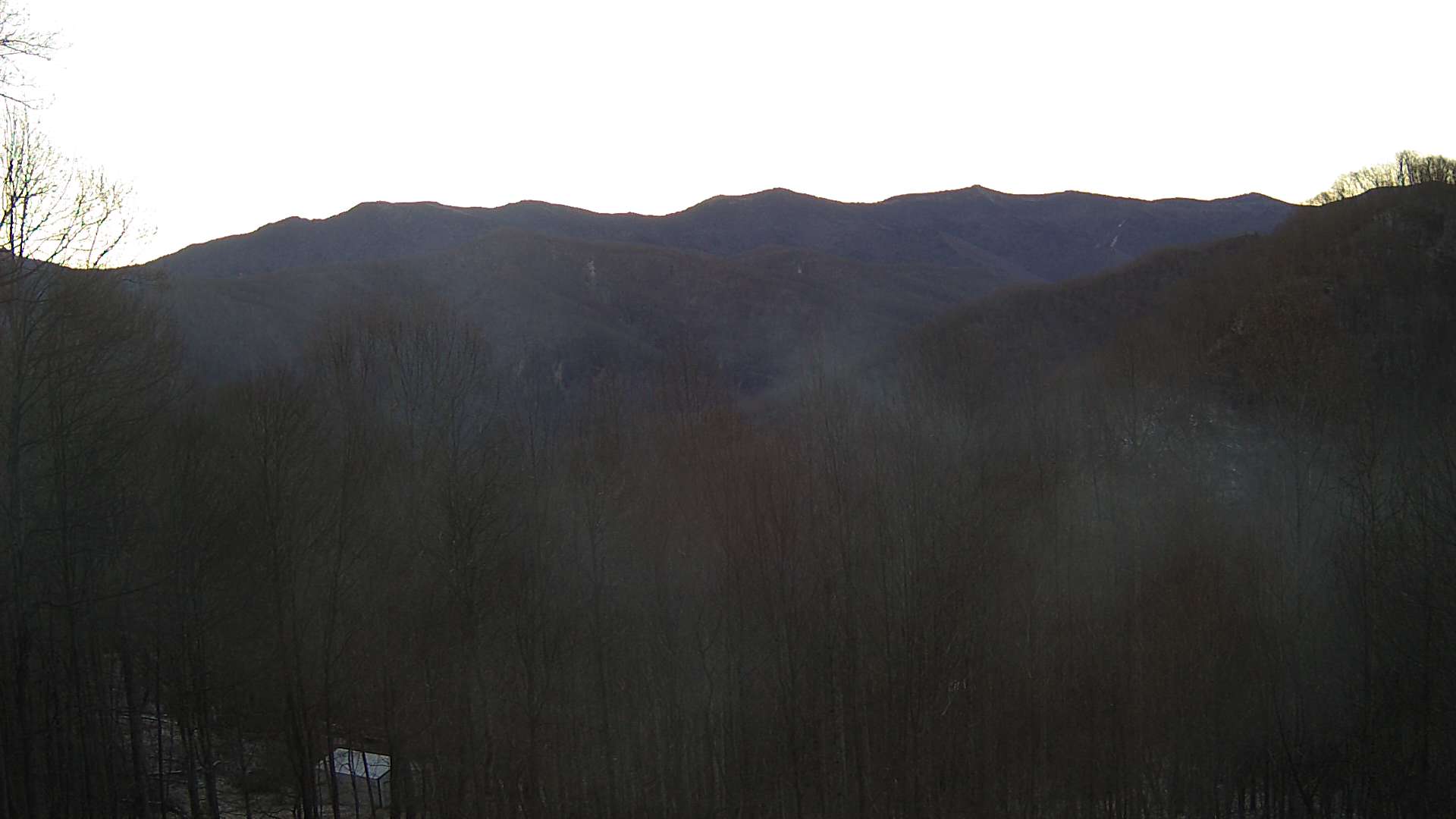 click for next image... slideshow image