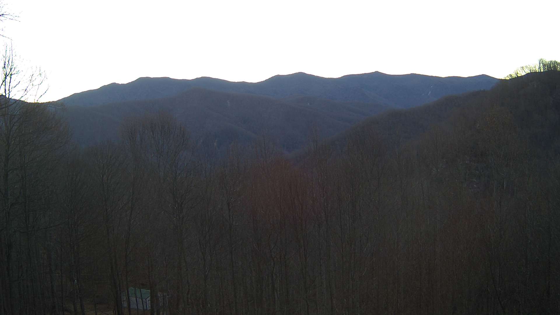 click for next image... slideshow image