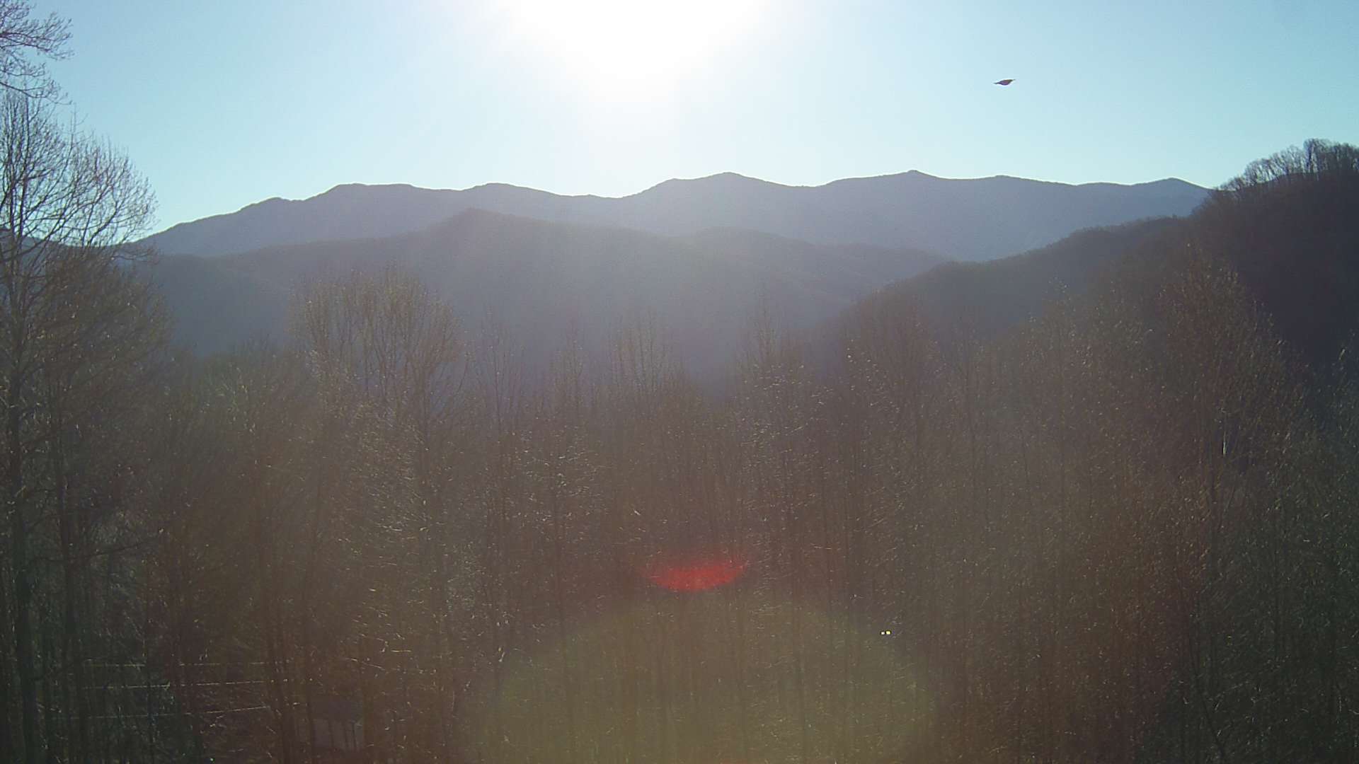 click for next image... slideshow image