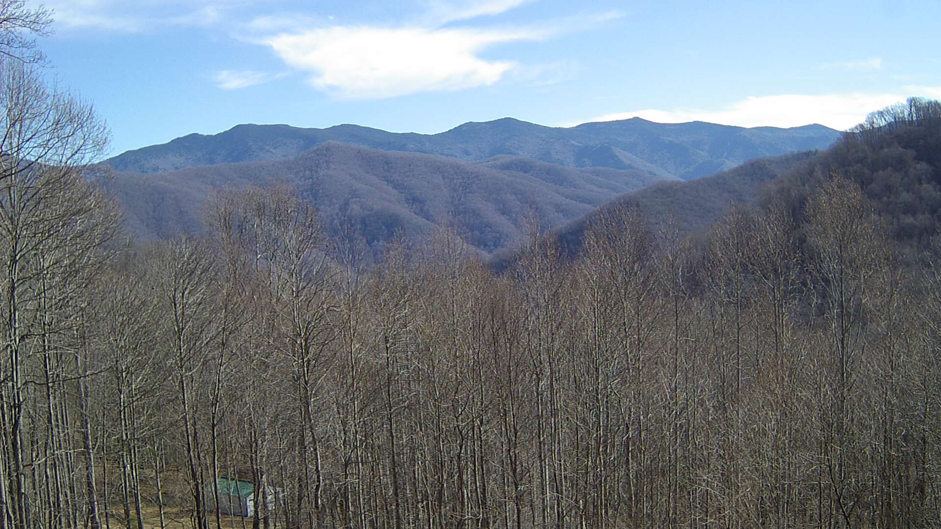 click for next image... slideshow image