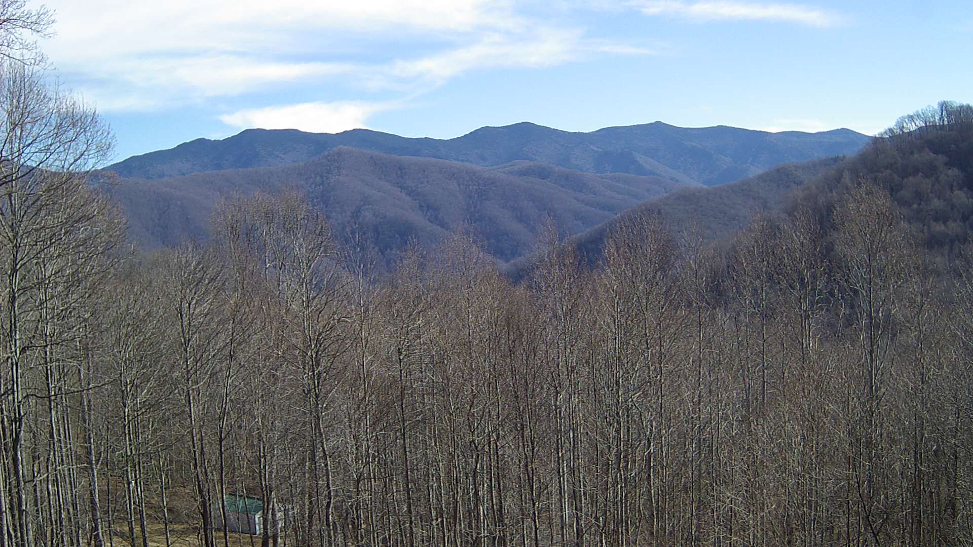 click for next image... slideshow image