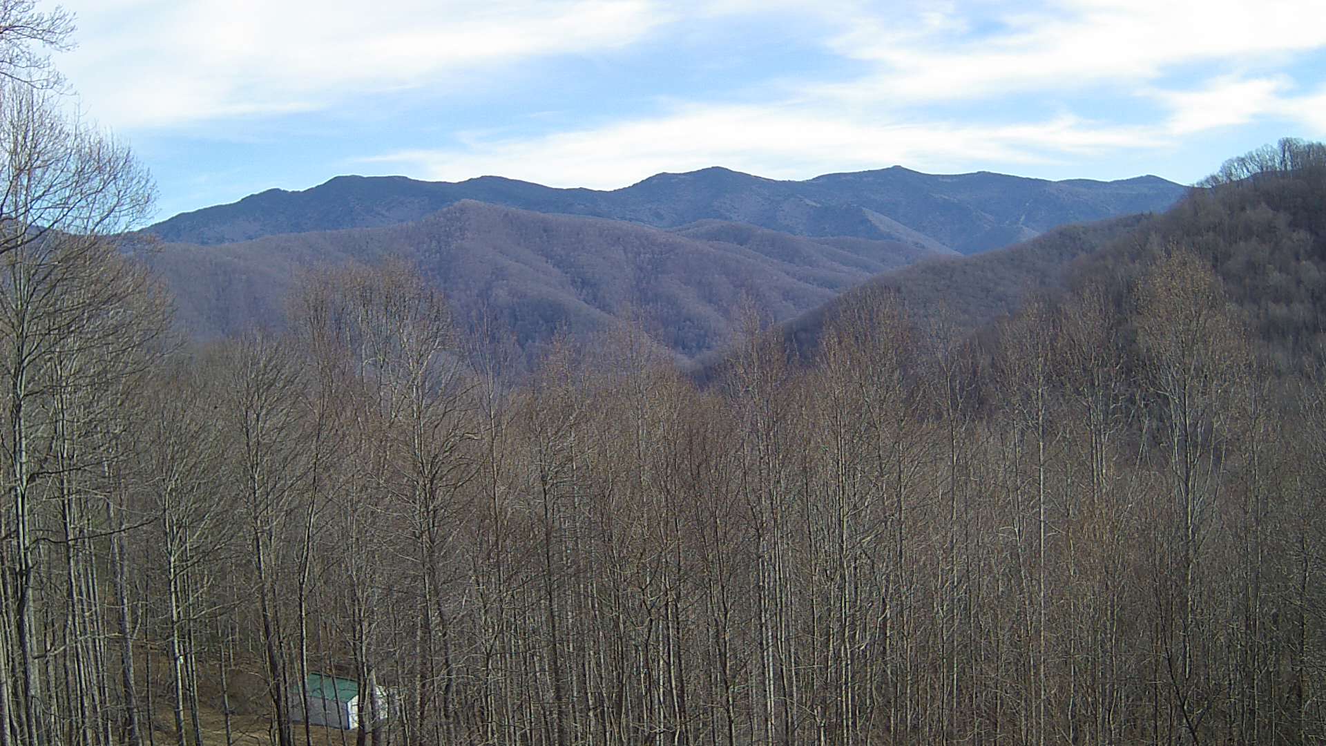 click for next image... slideshow image