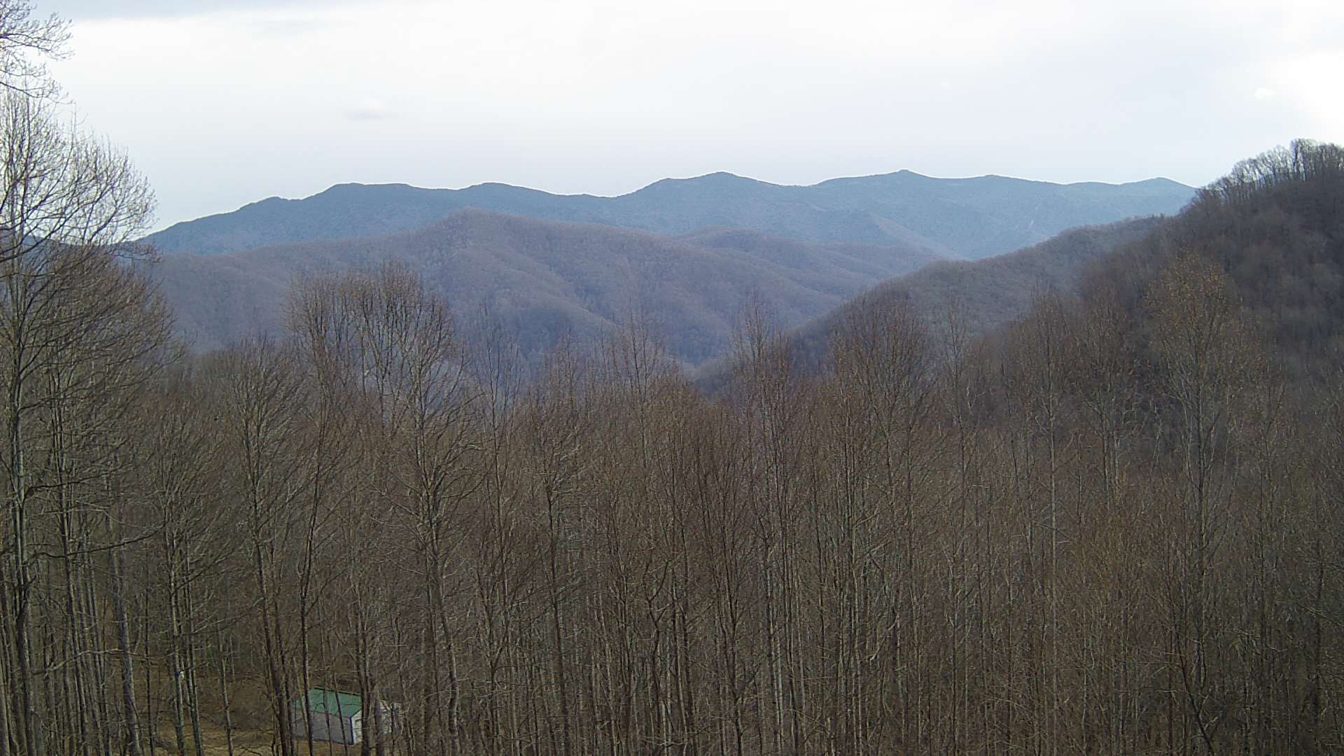 click for next image... slideshow image