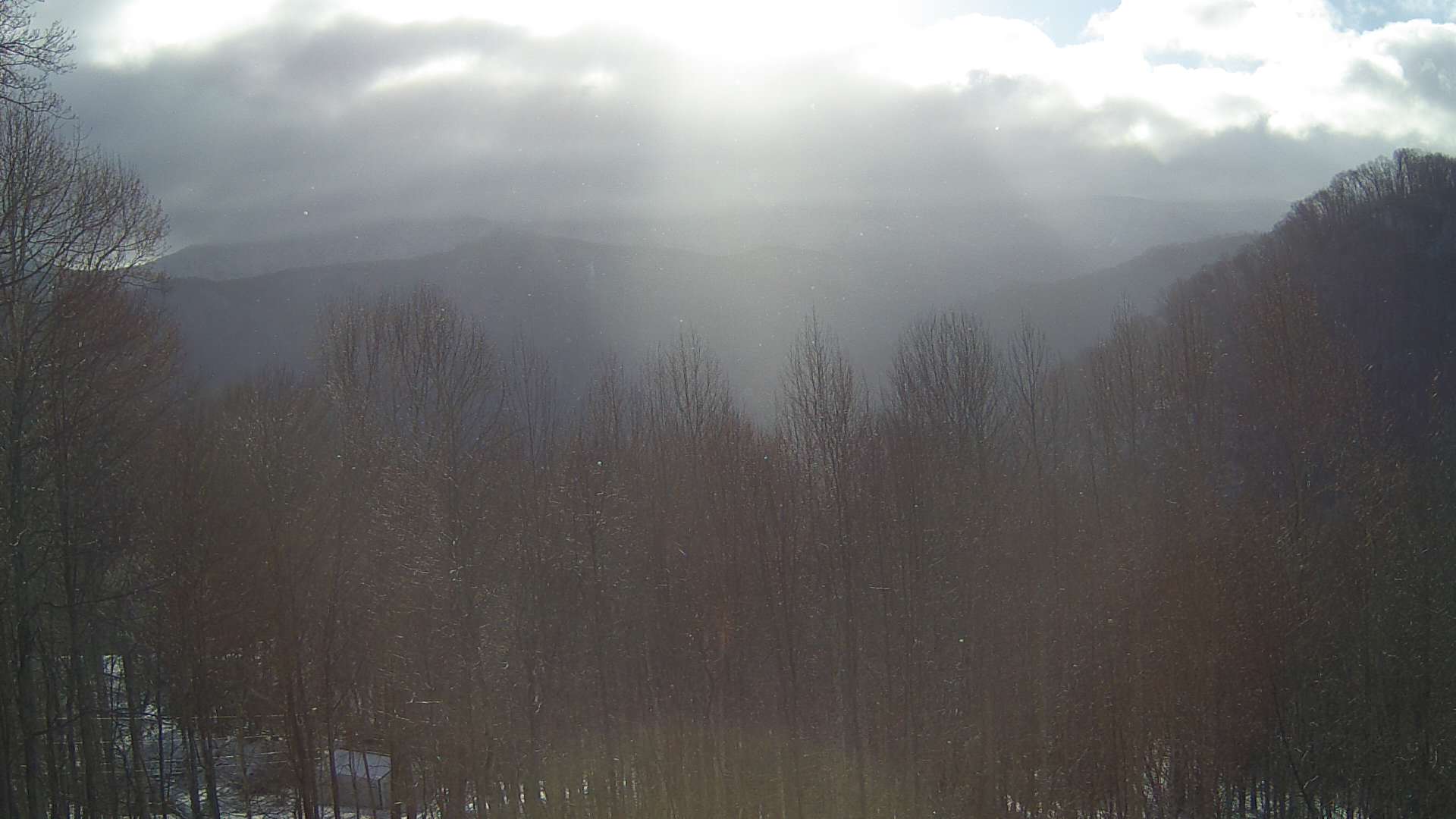 click for next image... slideshow image