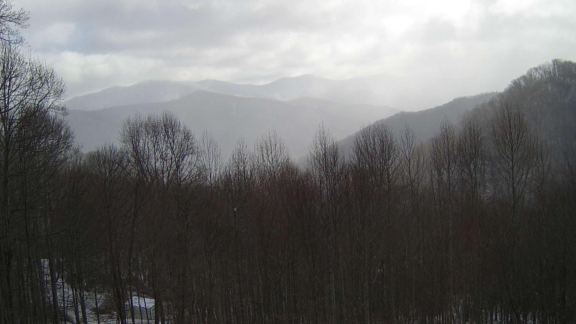 click for next image... slideshow image