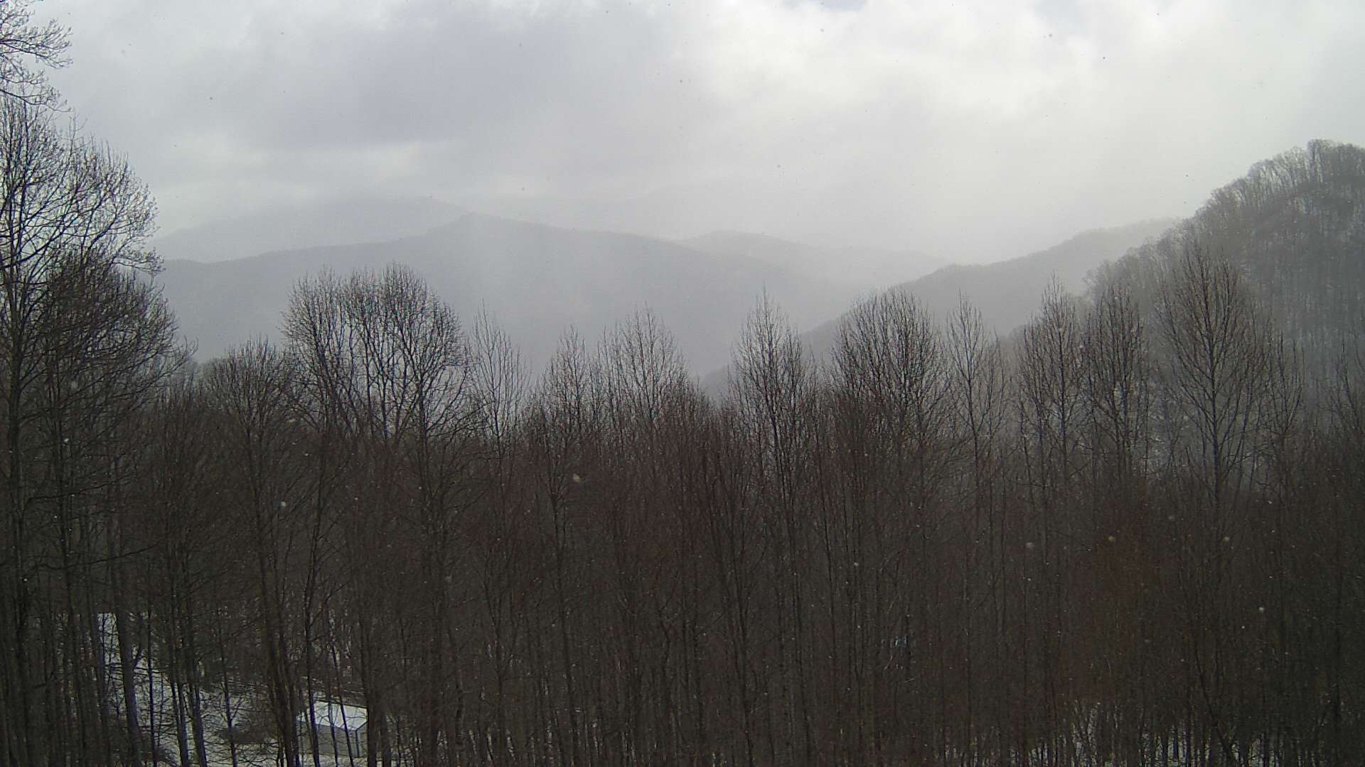 click for next image... slideshow image