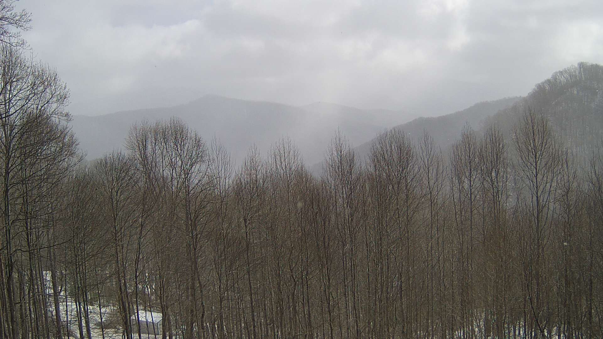 click for next image... slideshow image