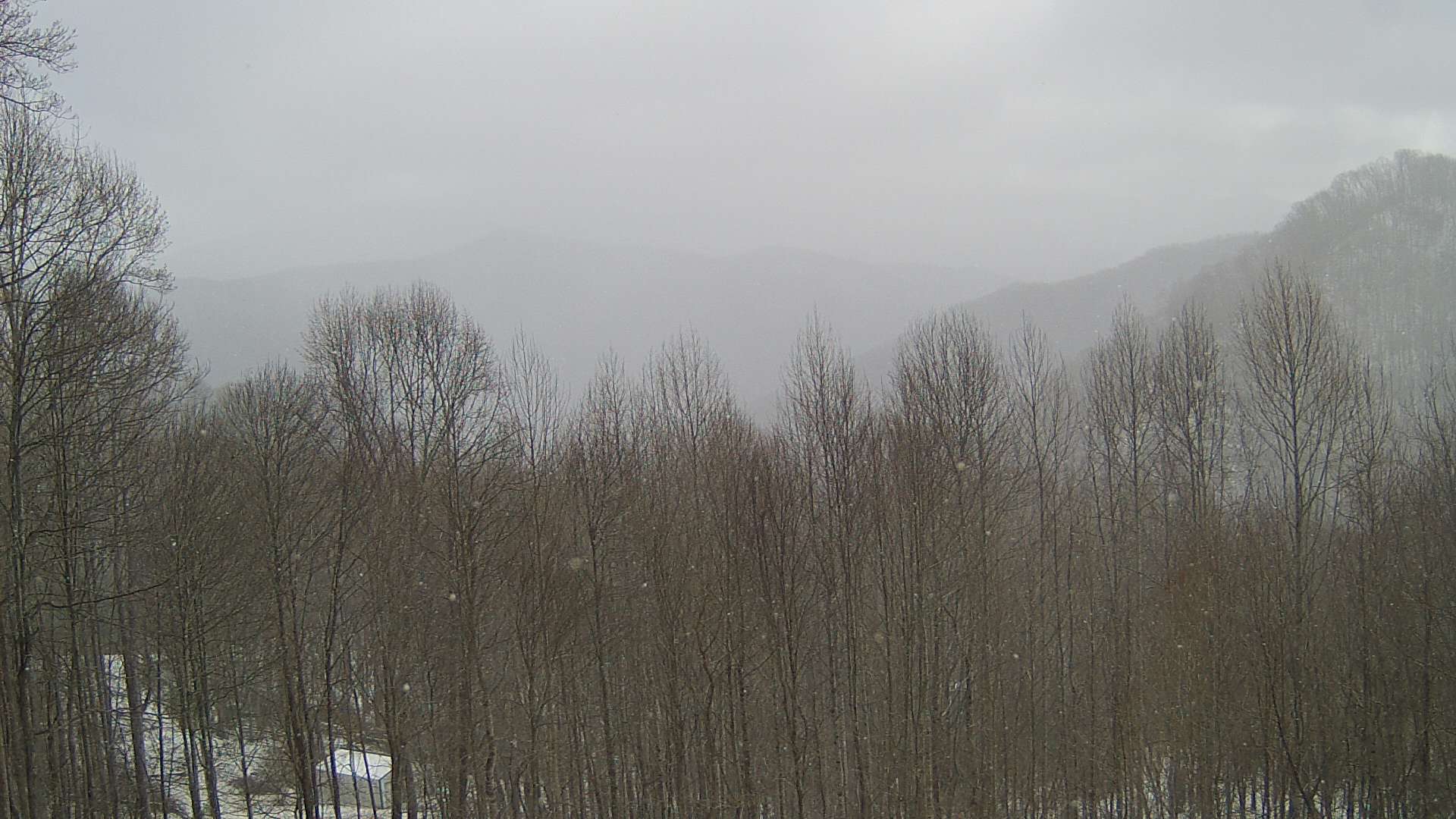 click for next image... slideshow image