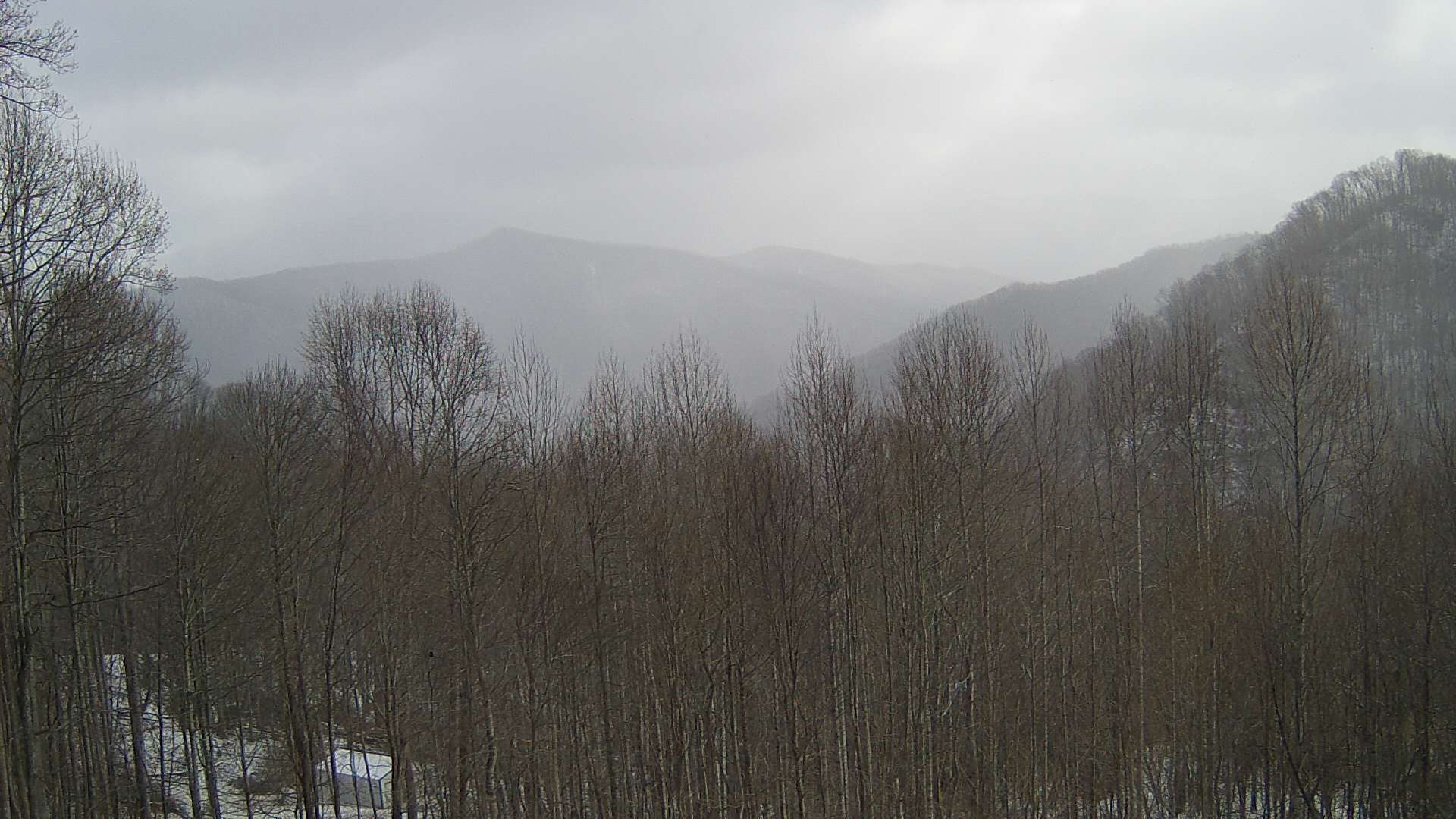 click for next image... slideshow image