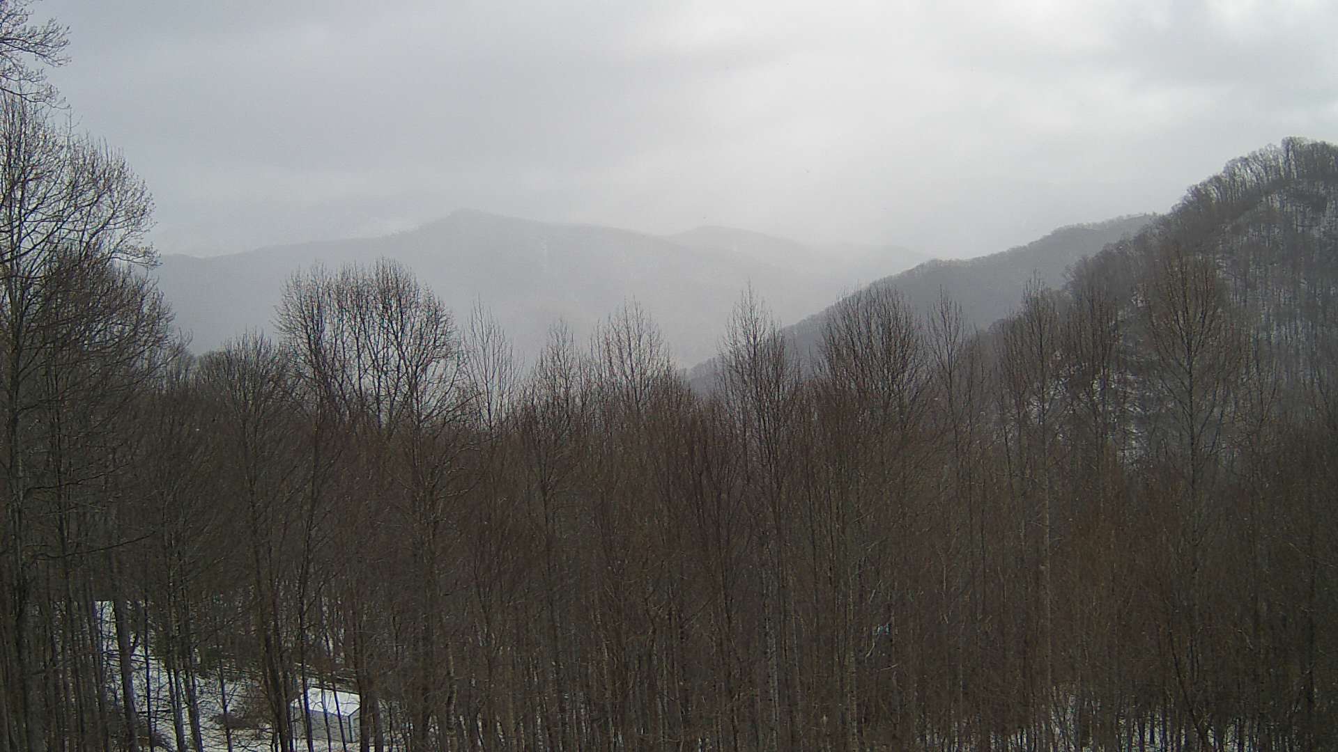 click for next image... slideshow image