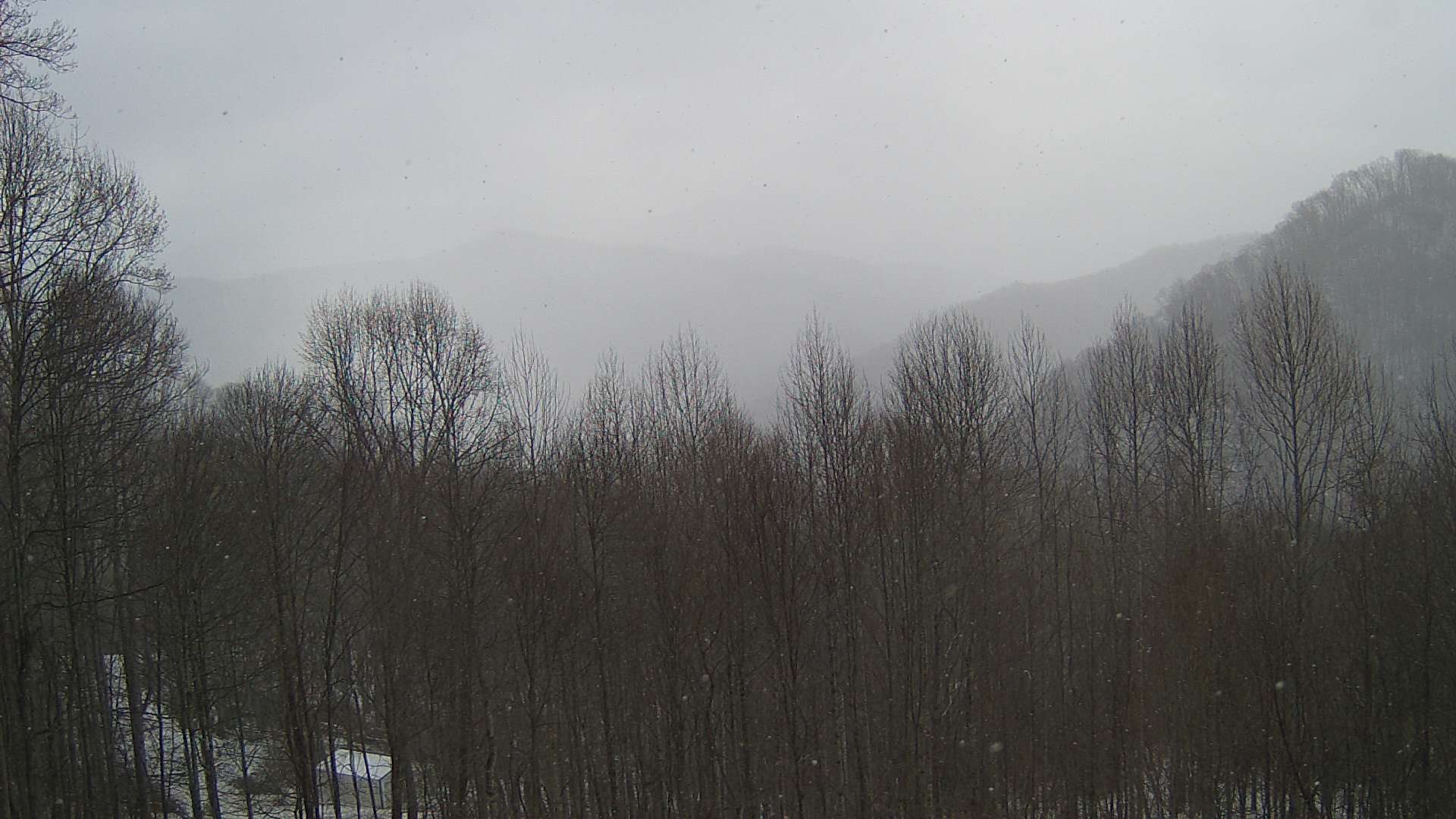 click for next image... slideshow image